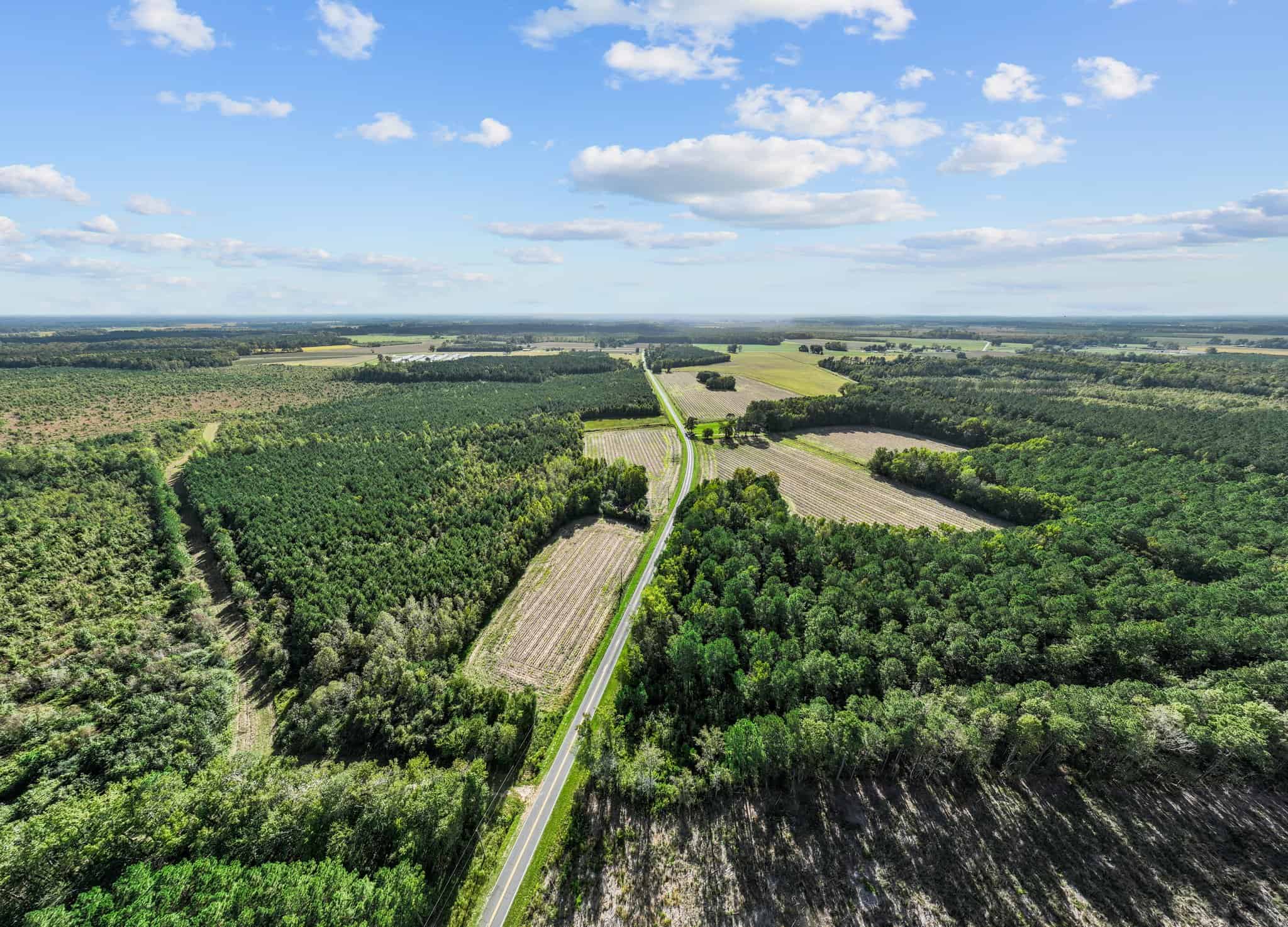 475Acre Prime Hunting Land for Sale in Pitt County, NC UC Hunting