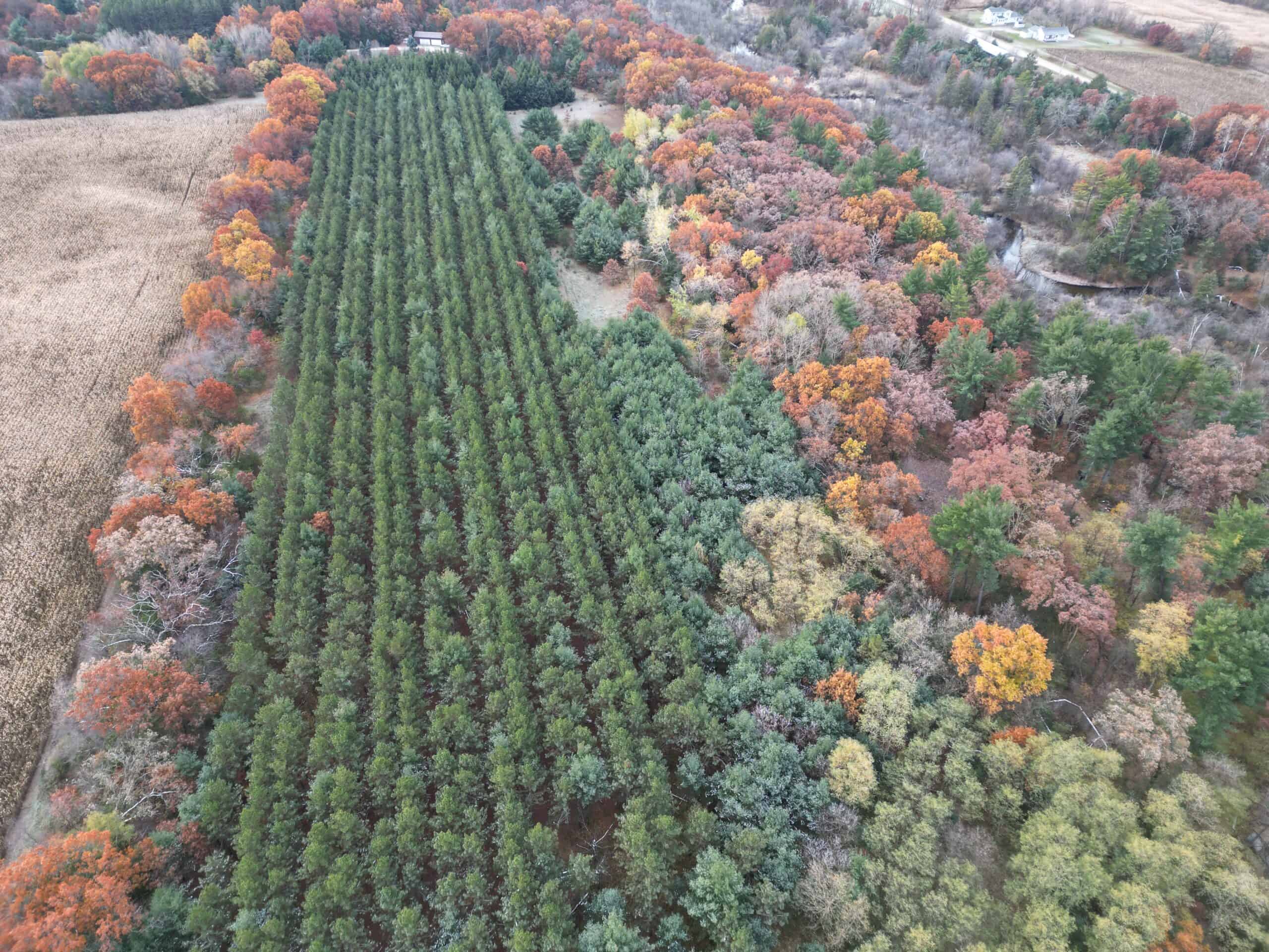 122 +/- Acres Outdoor Paradise in Waushara County WI