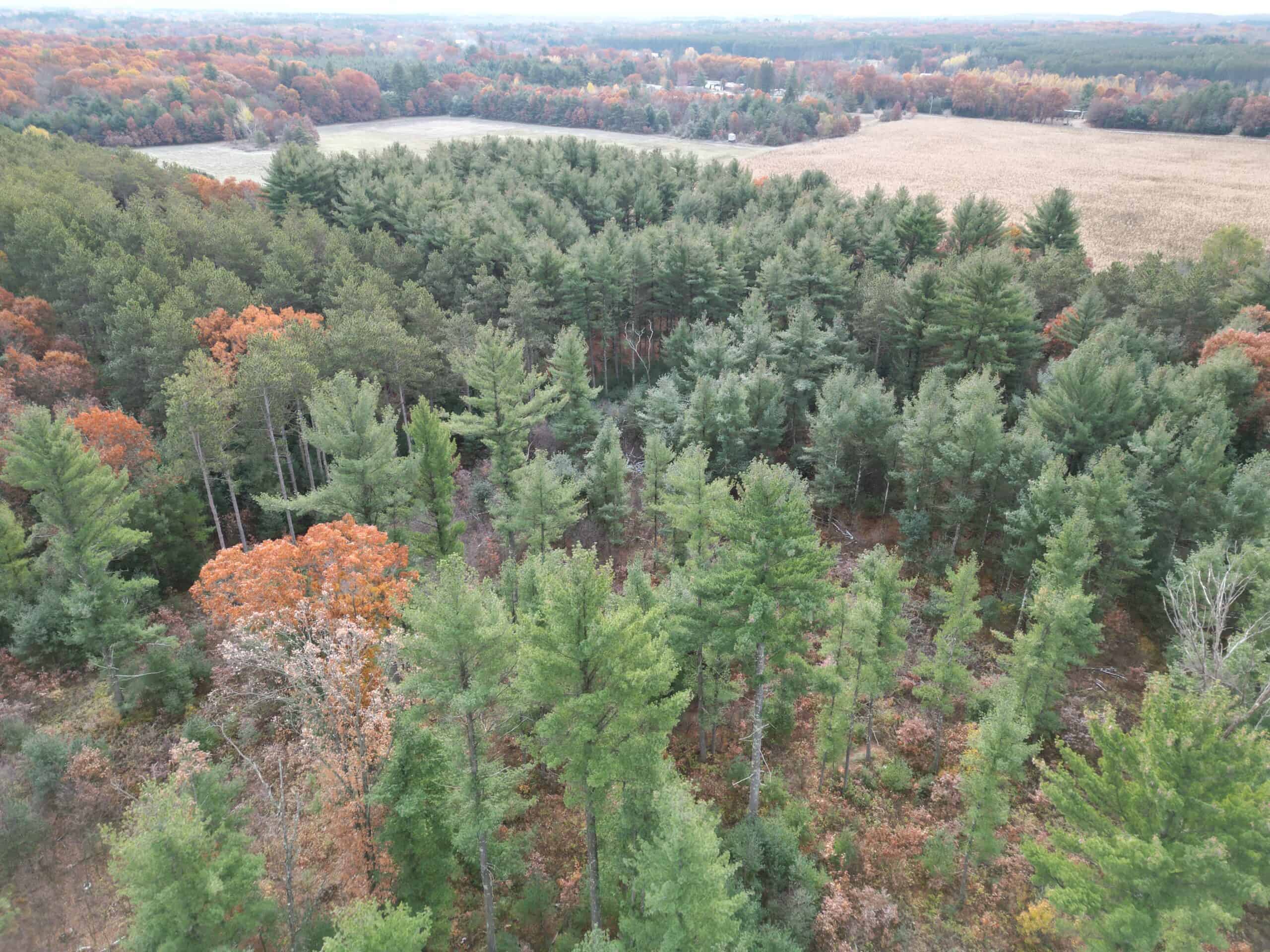 122 +/- Acres Outdoor Paradise in Waushara County WI