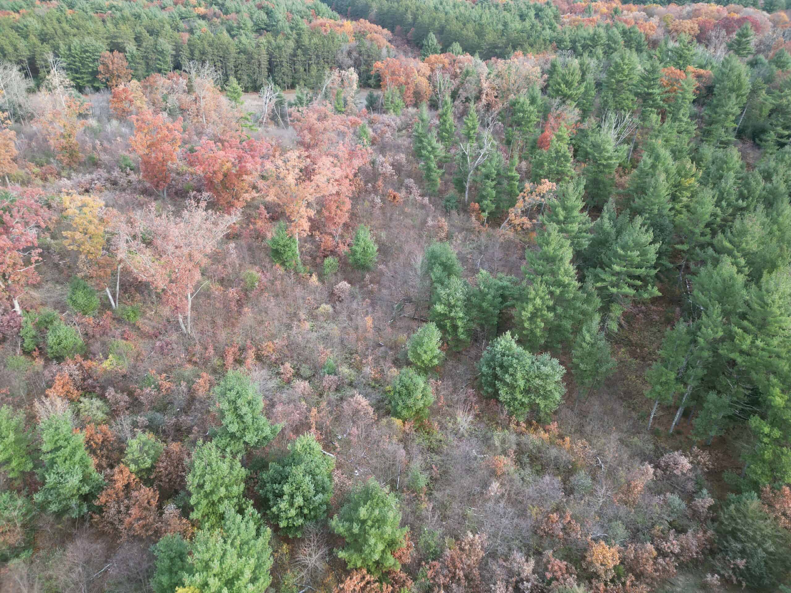 122 +/- Acres Outdoor Paradise in Waushara County WI