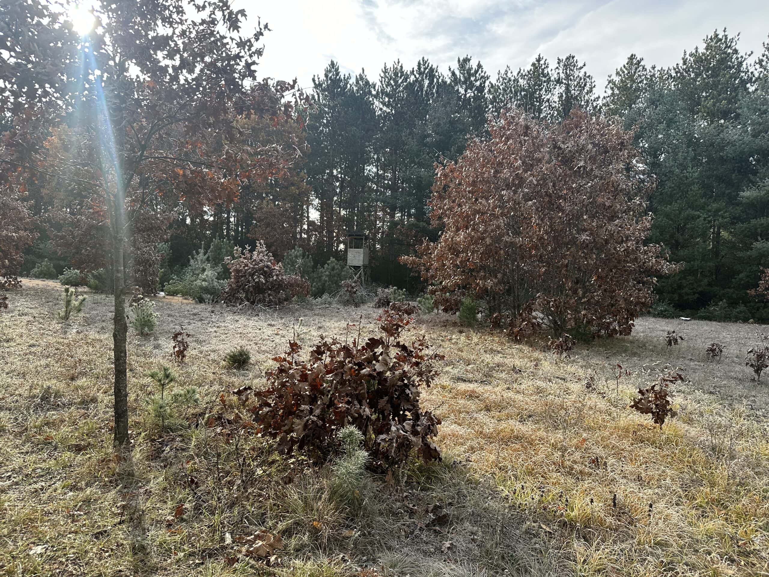 122 +/- Acres Outdoor Paradise in Waushara County WI
