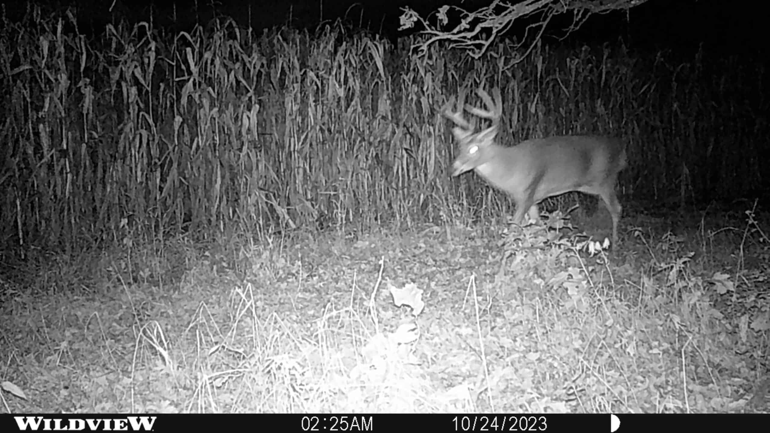 122 +/- Acres Outdoor Paradise in Waushara County WI
