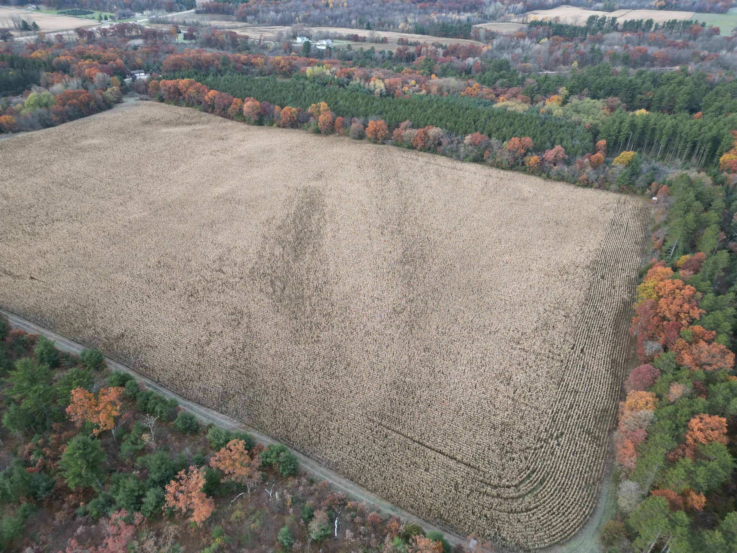 122 +/- Acres Outdoor Paradise in Waushara County WI