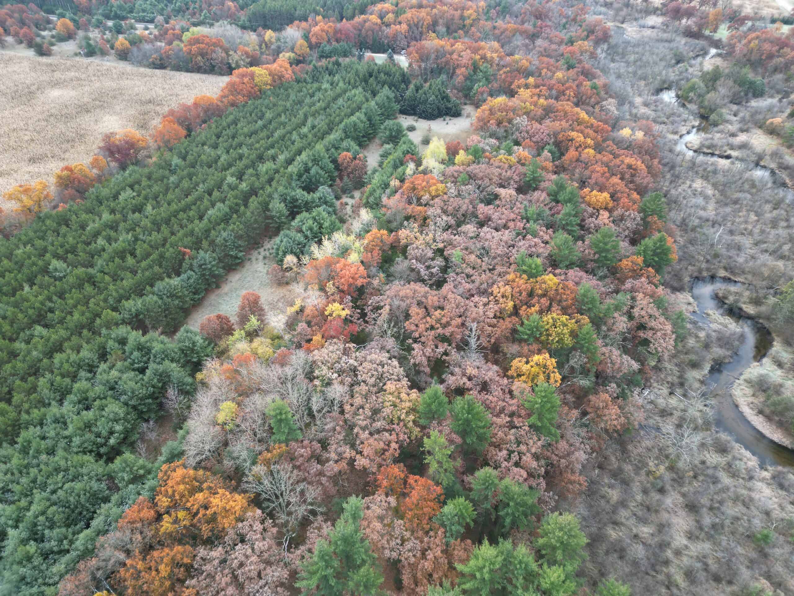 122 +/- Acres Outdoor Paradise in Waushara County WI