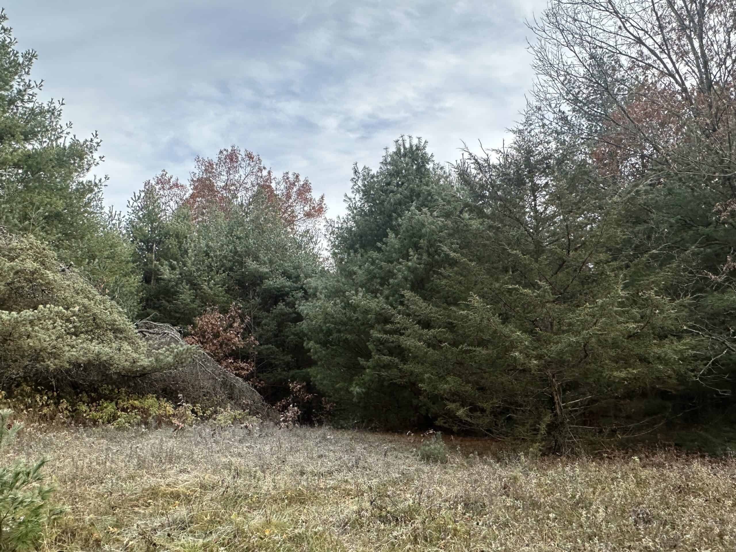 122 +/- Acres Outdoor Paradise in Waushara County WI