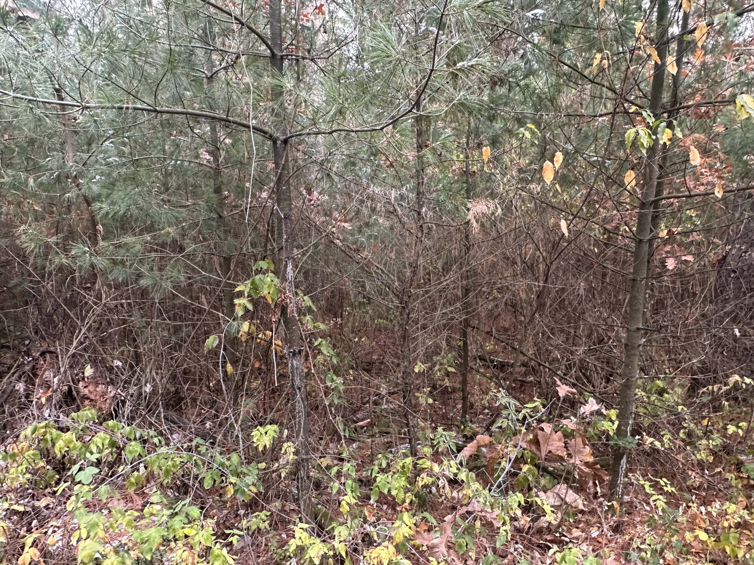 122 +/- Acres Outdoor Paradise in Waushara County WI