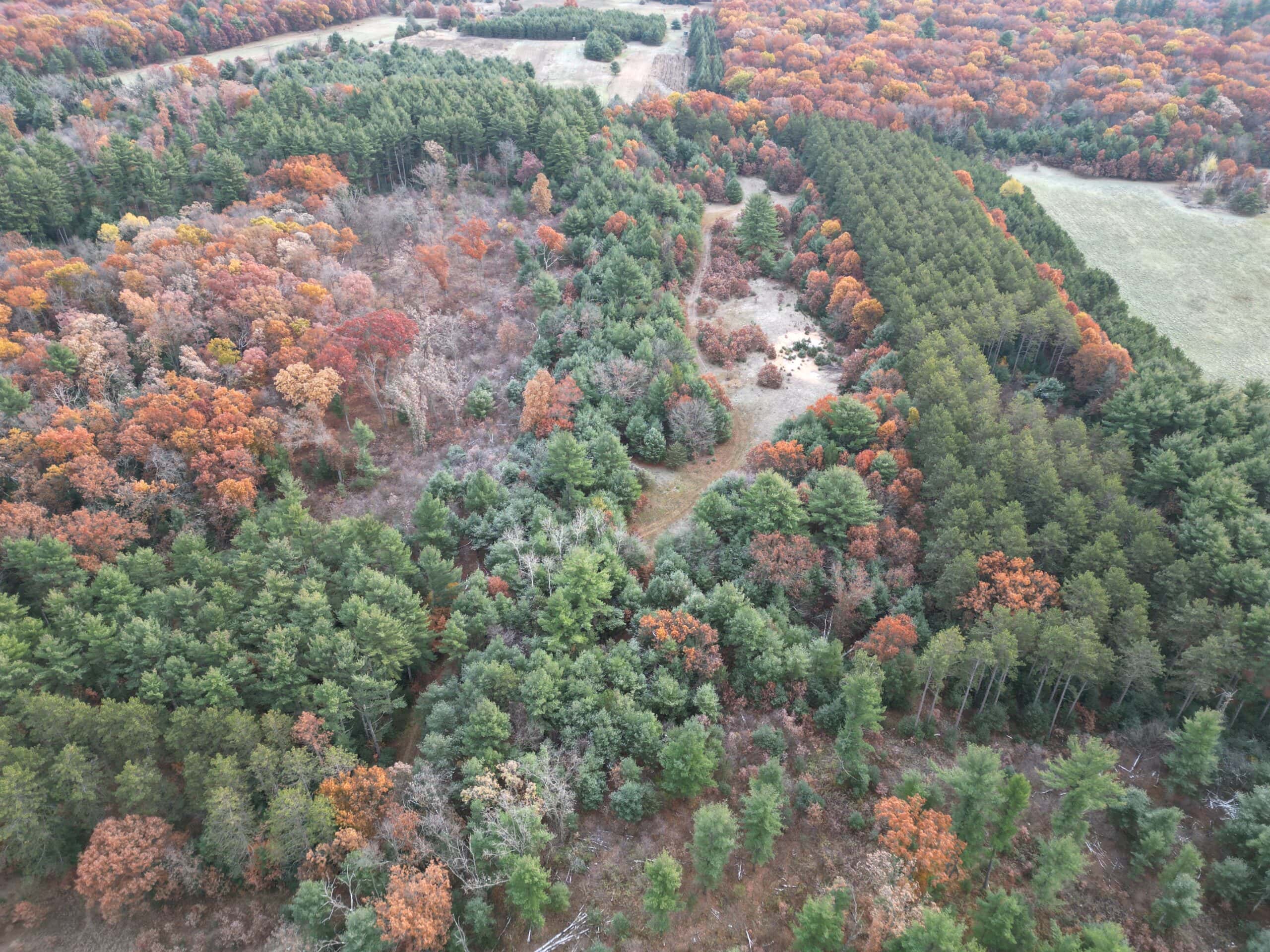 122 +/- Acres Outdoor Paradise in Waushara County WI