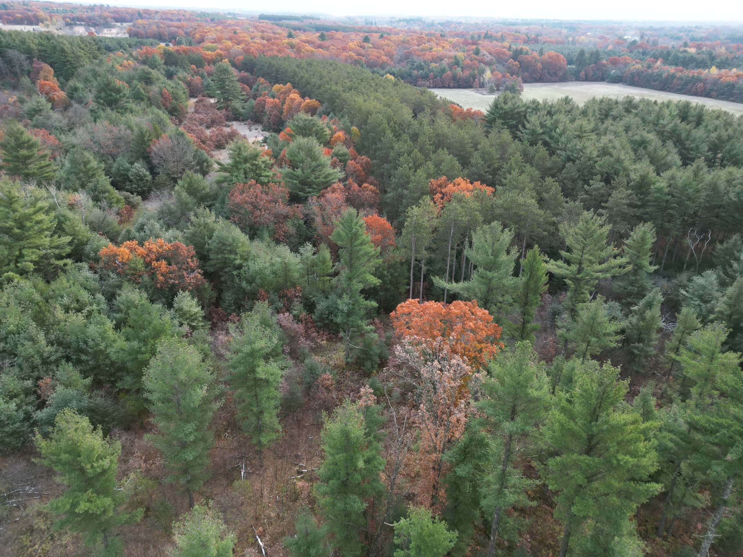 122 +/- Acres Outdoor Paradise in Waushara County WI