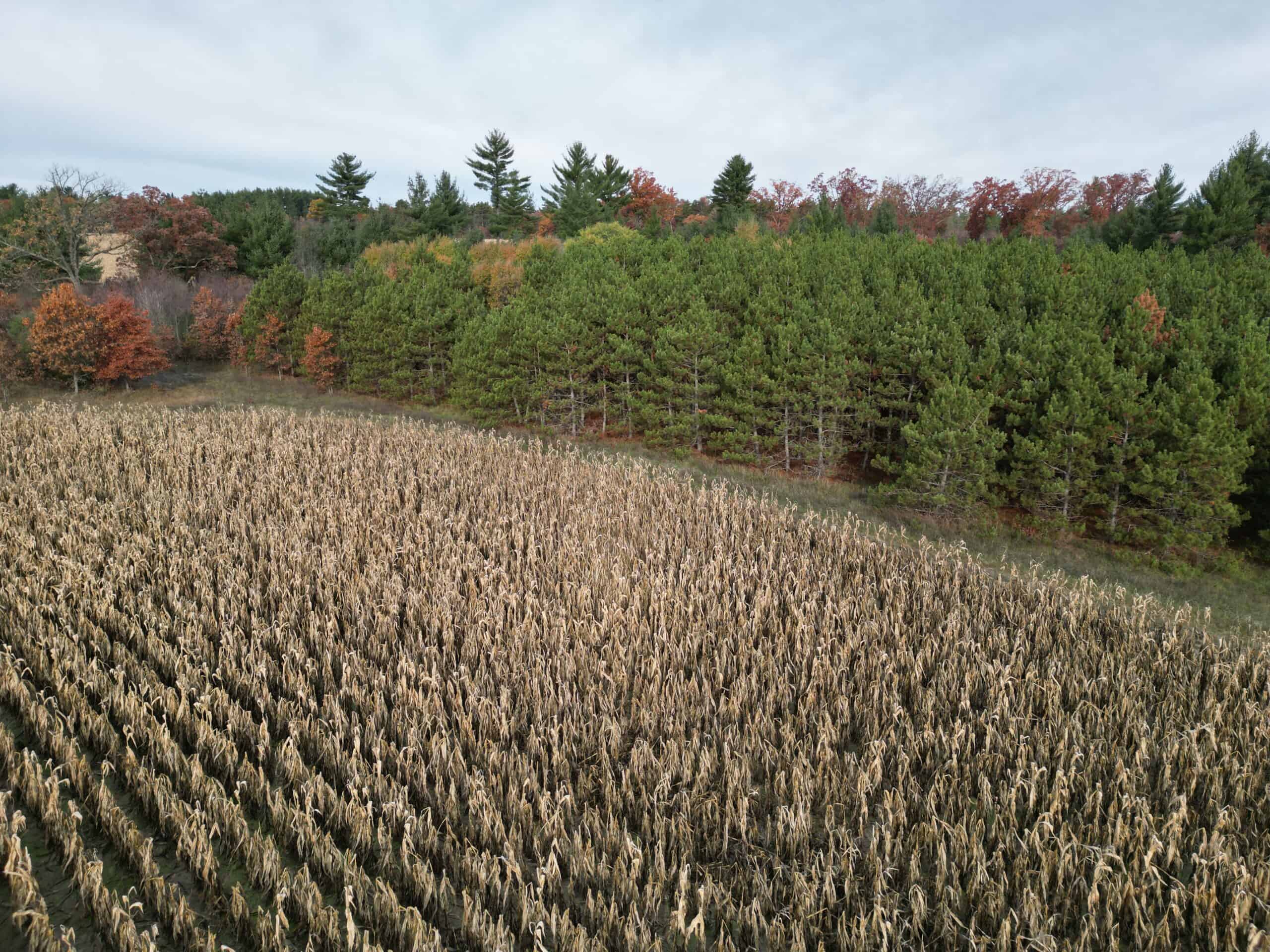 122 +/- Acres Outdoor Paradise in Waushara County WI