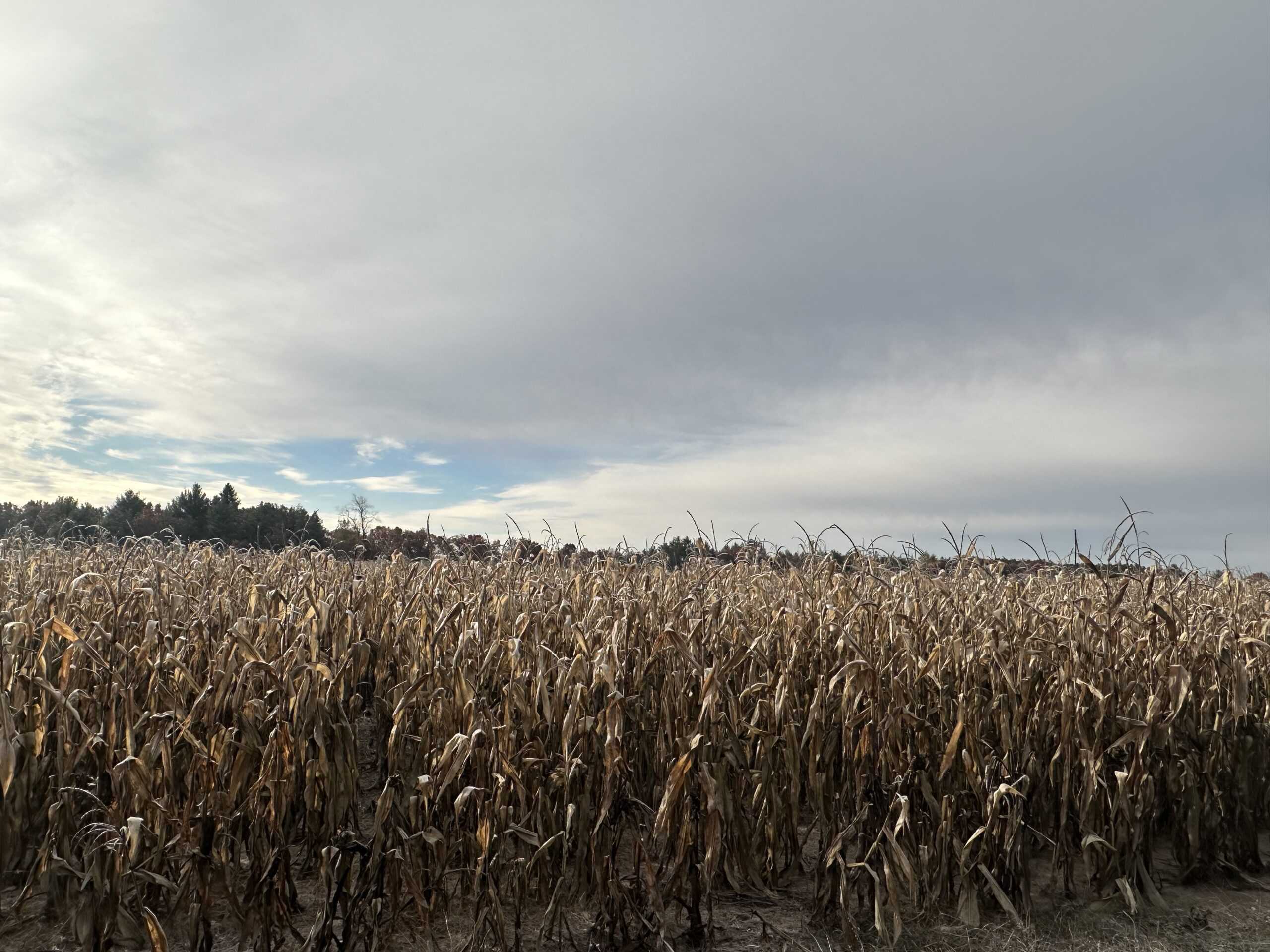 122 +/- Acres Outdoor Paradise in Waushara County WI