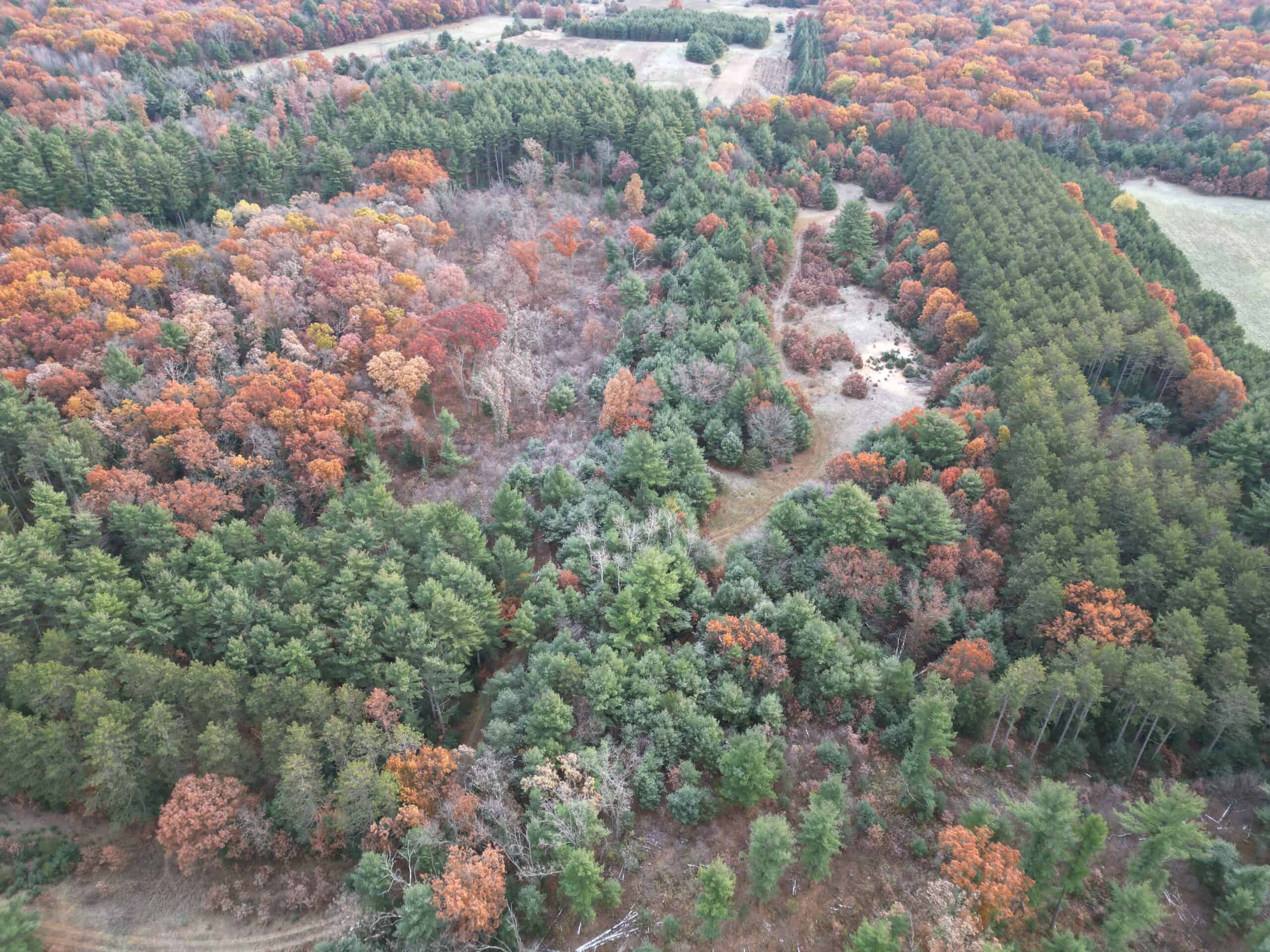 122 +/- Acres Outdoor Paradise in Waushara County WI