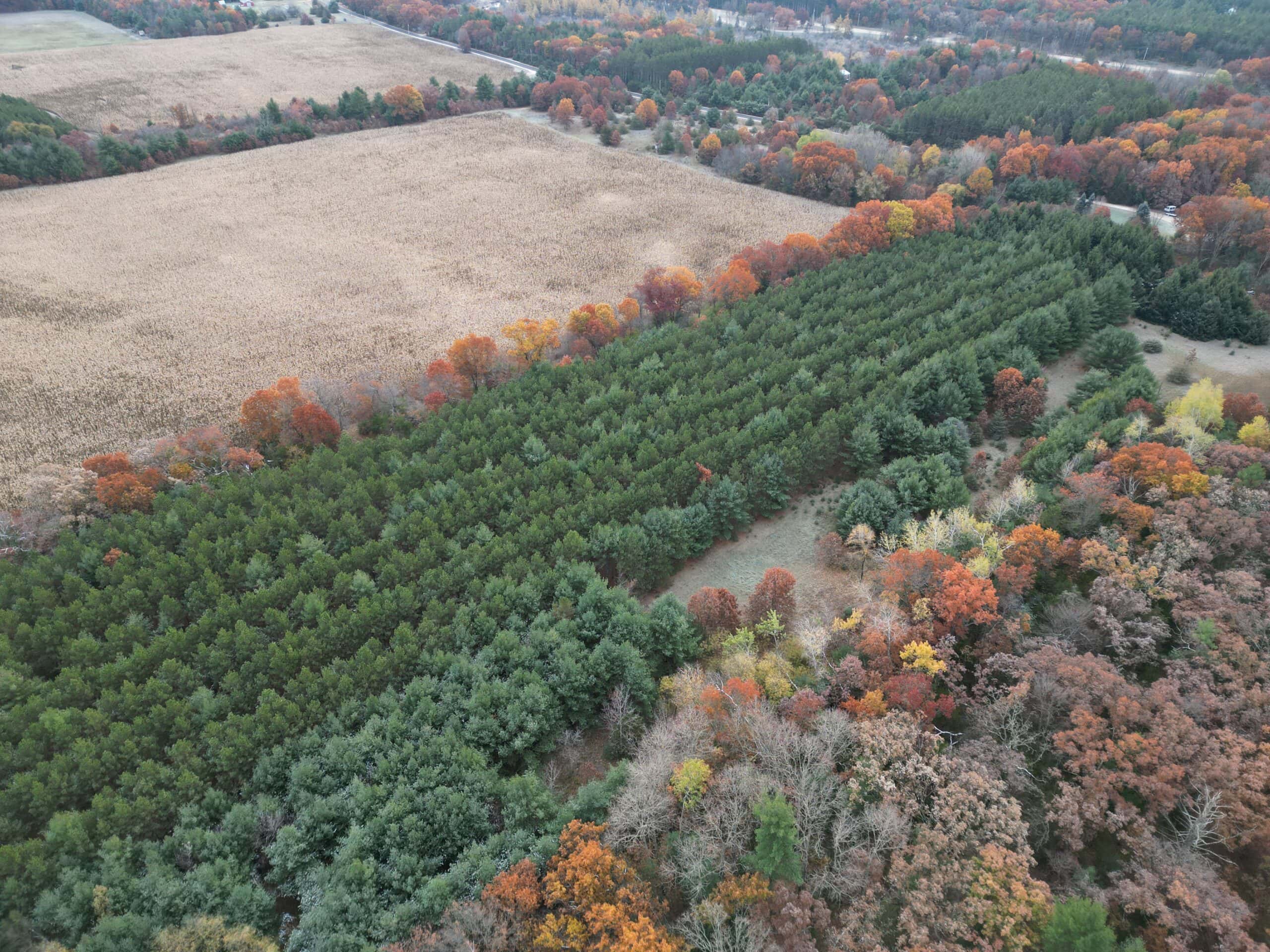 122 +/- Acres Outdoor Paradise in Waushara County WI