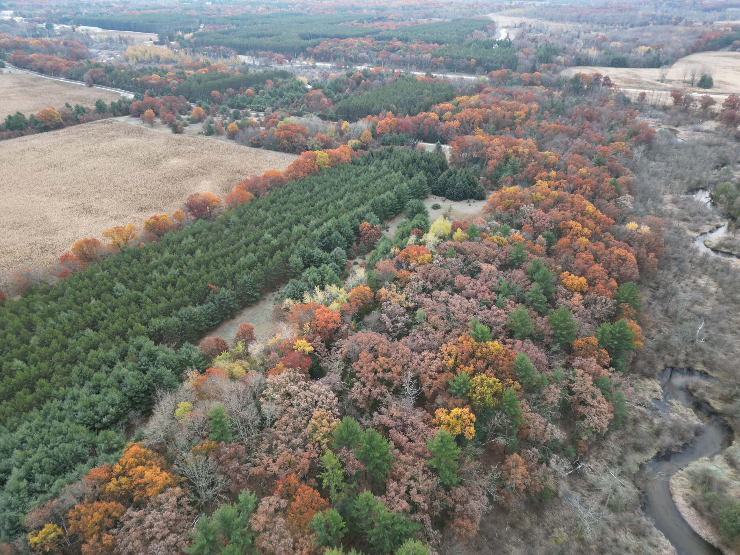 122 +/- Acres Outdoor Paradise in Waushara County WI