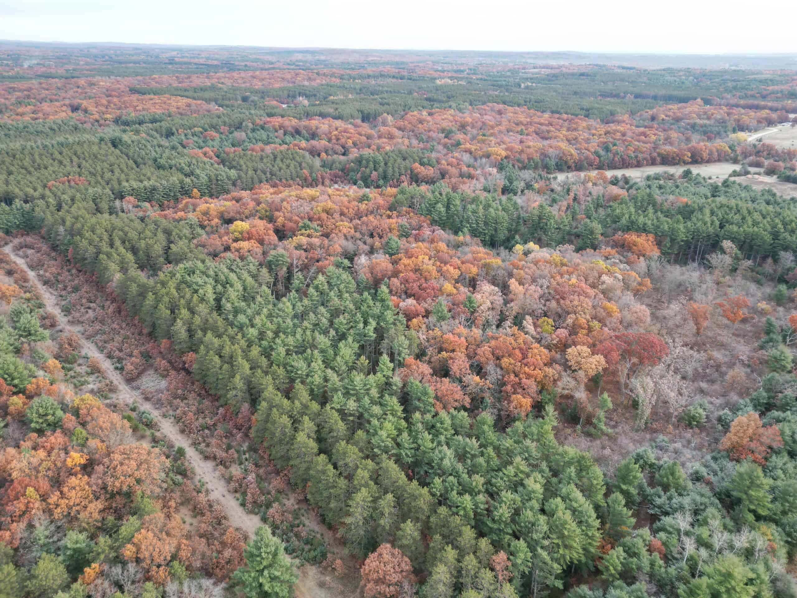 122 +/- Acres Outdoor Paradise in Waushara County WI
