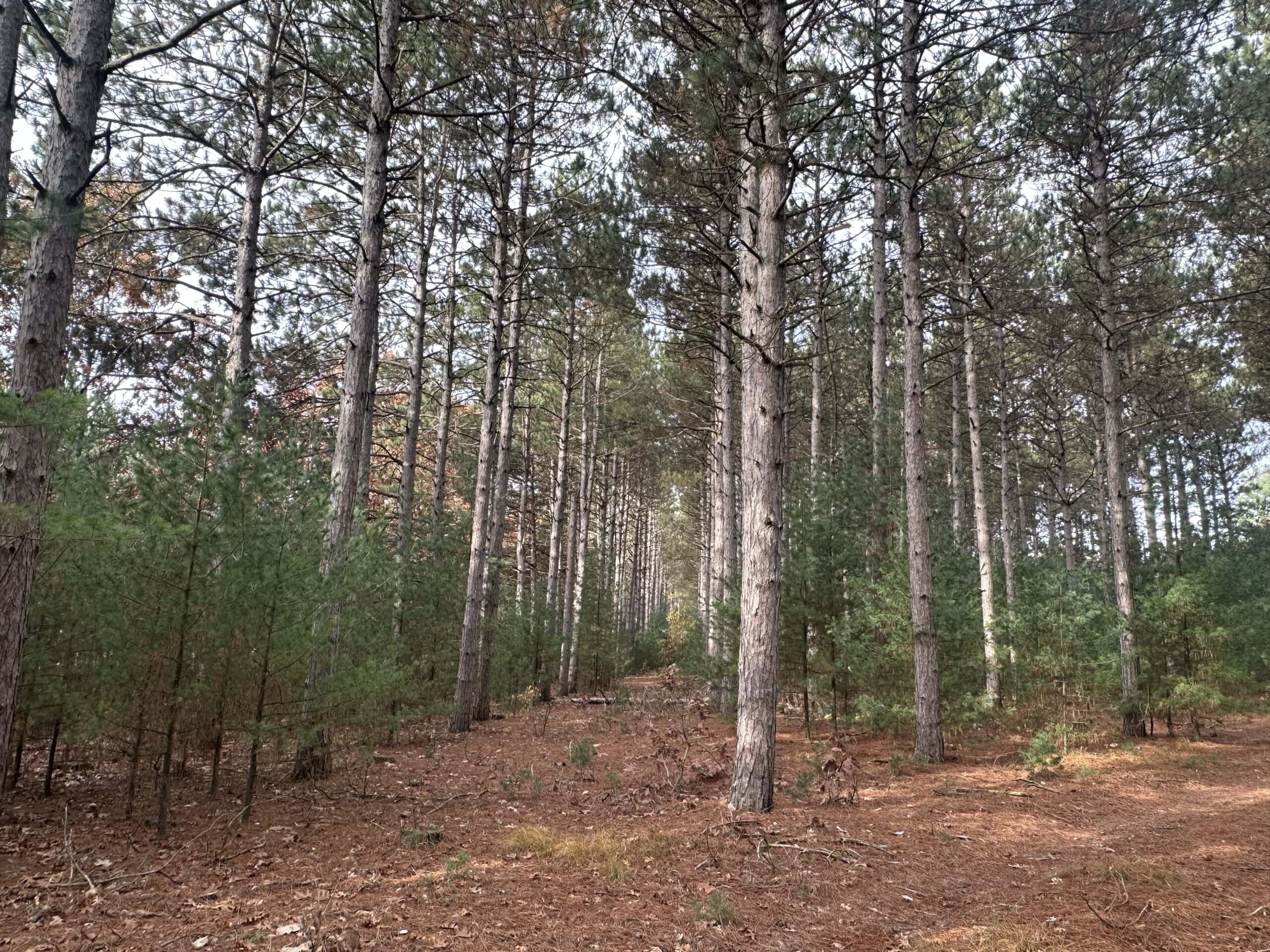 122 +/- Acres Outdoor Paradise in Waushara County WI