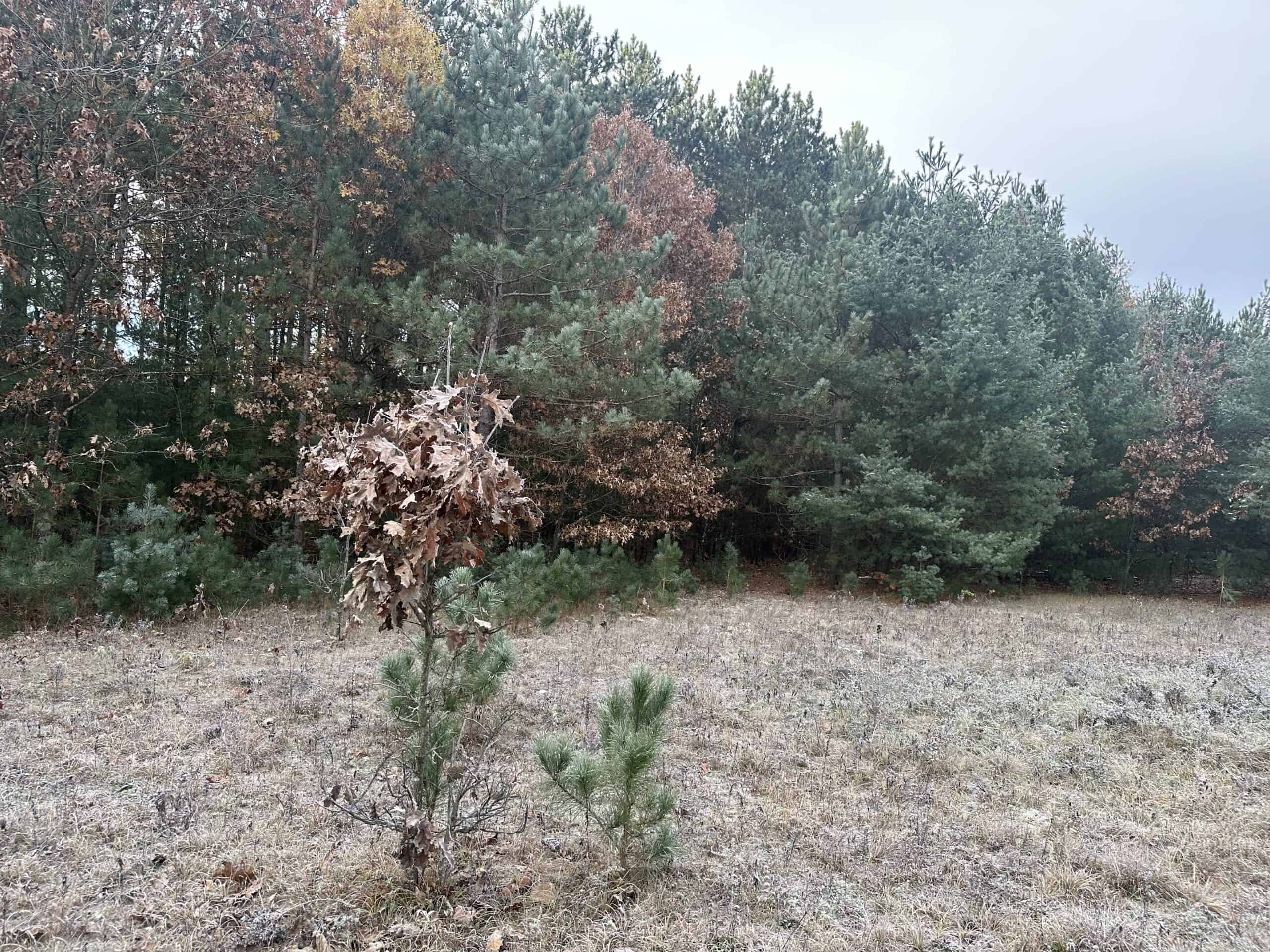 122 +/- Acres Outdoor Paradise in Waushara County WI