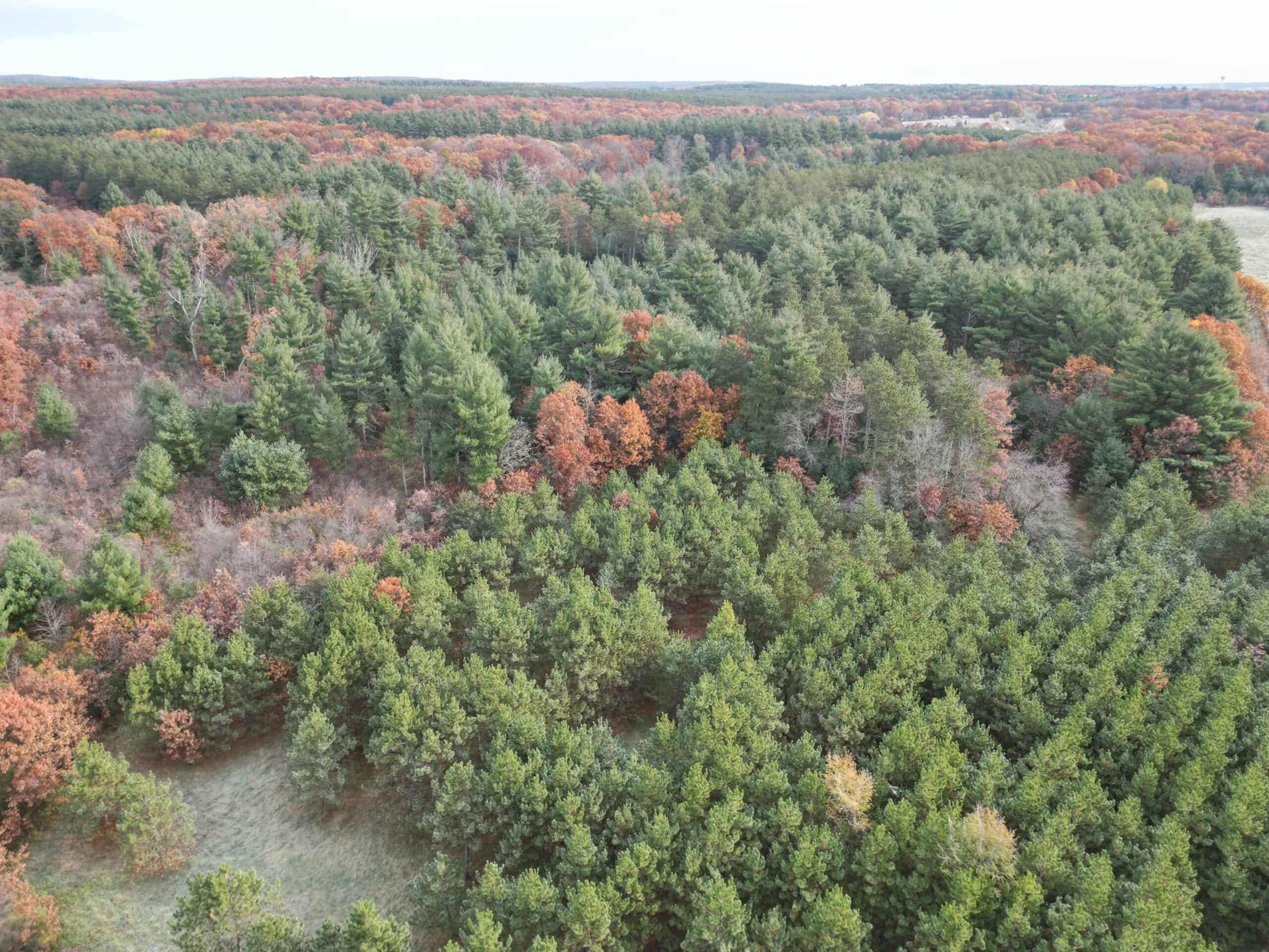 122 +/- Acres Outdoor Paradise in Waushara County WI