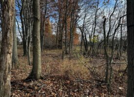 35 Acres of Whitetail Heaven Montcalm County MI