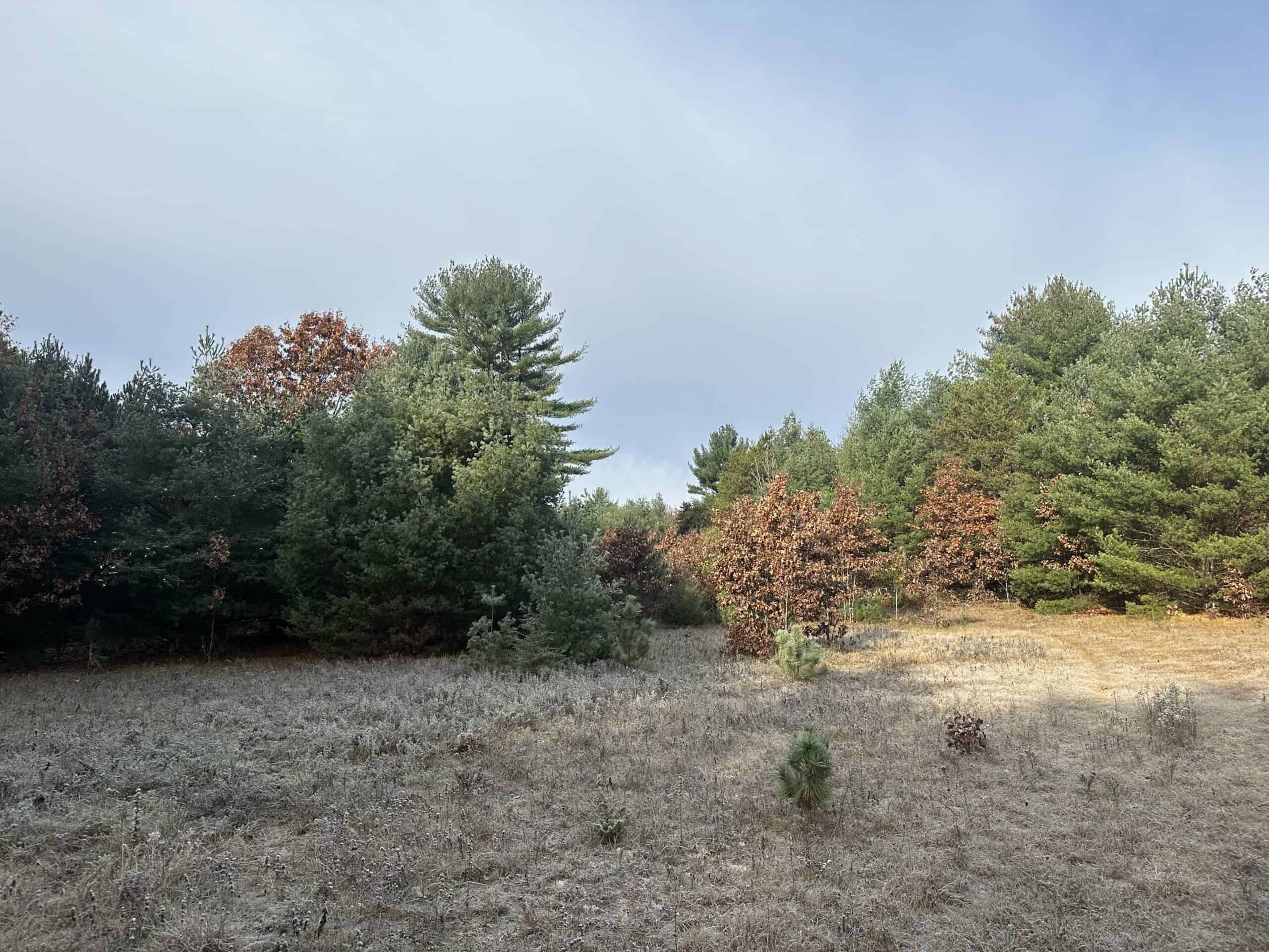 122 +/- Acres Outdoor Paradise in Waushara County WI