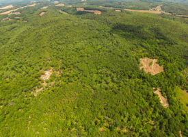 Deer Hunting Land for Sale in Vienna, MO