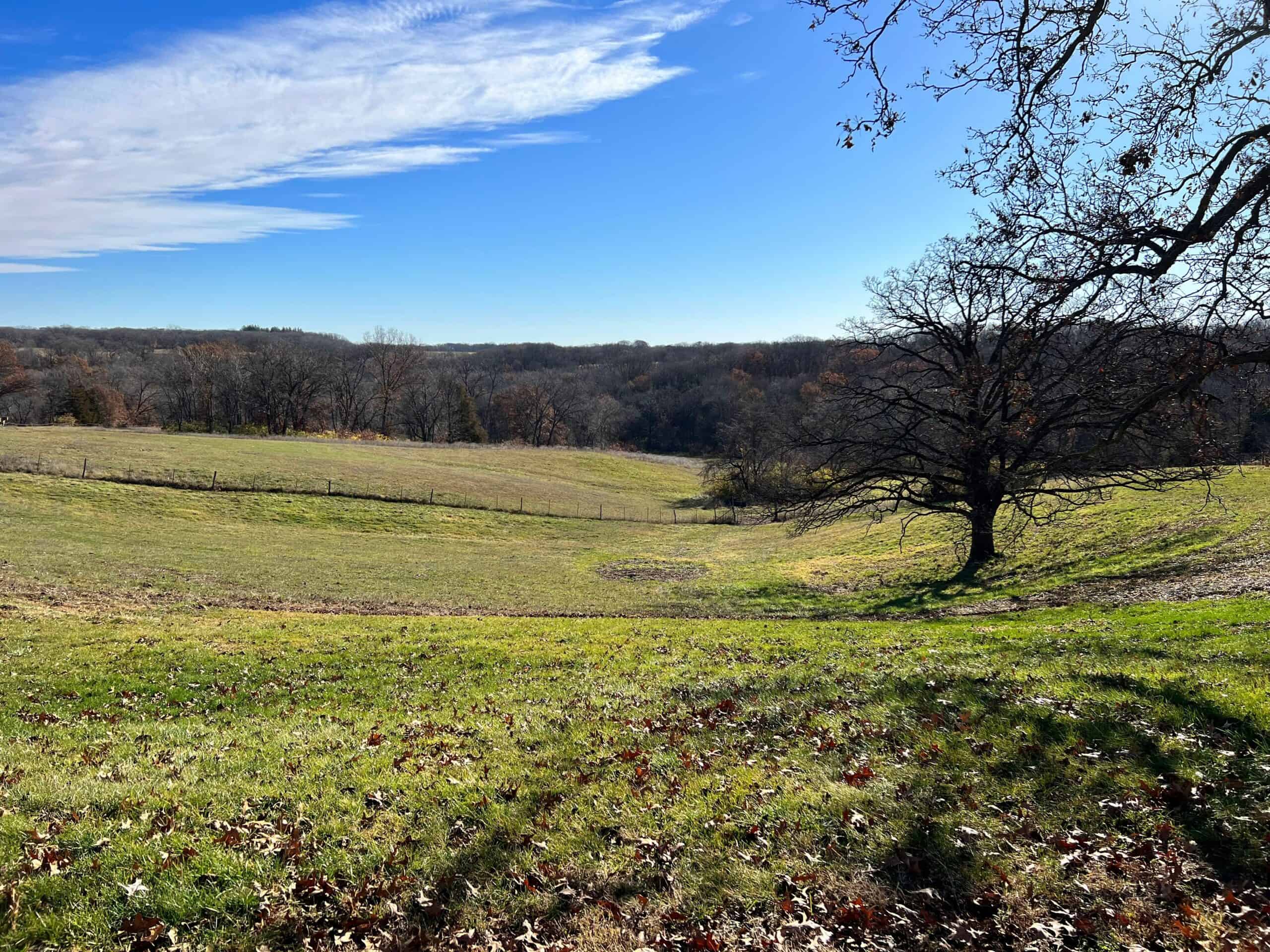 Wapello, IA House and 30 acres