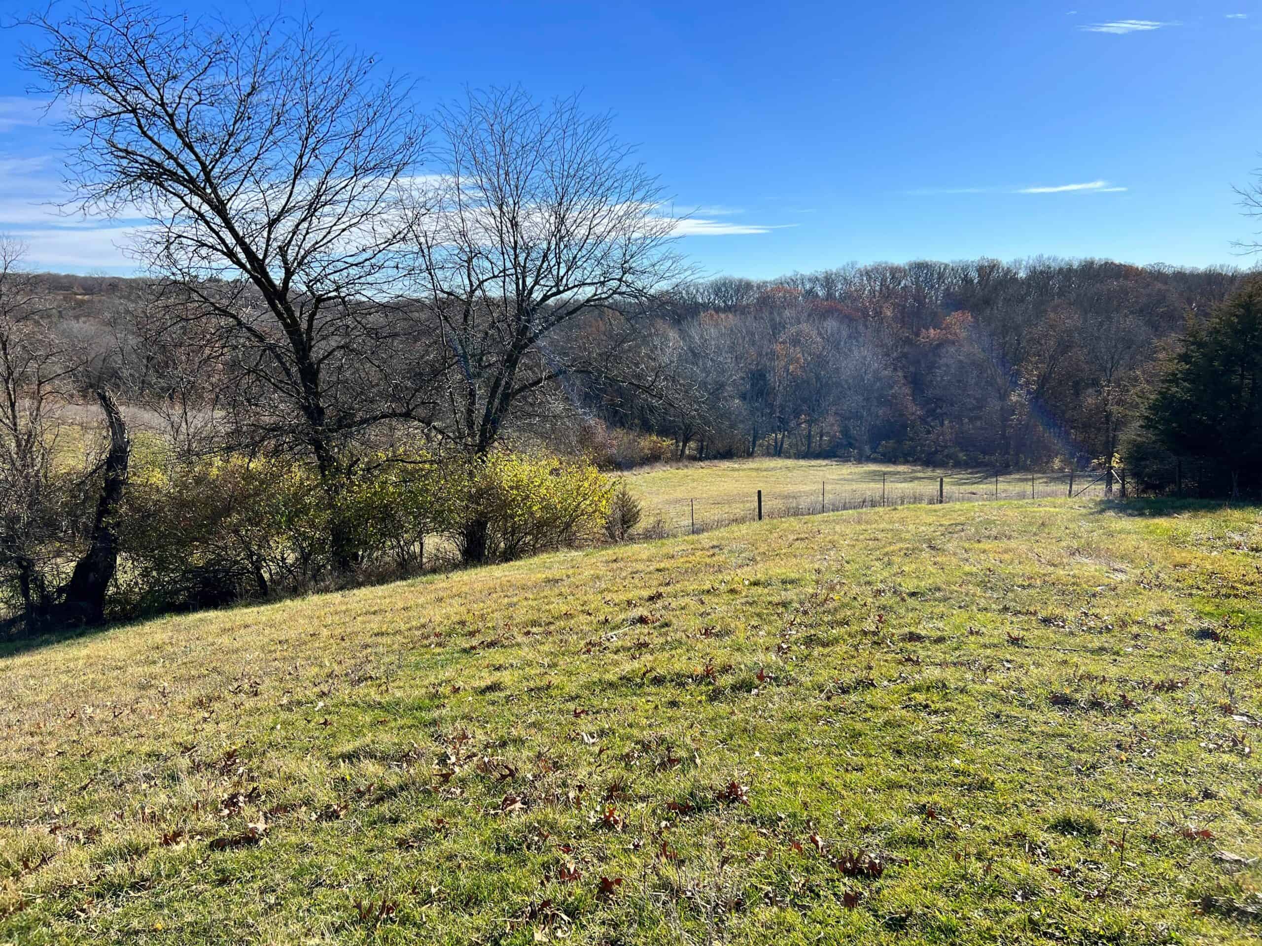 Wapello, IA House and 30 acres