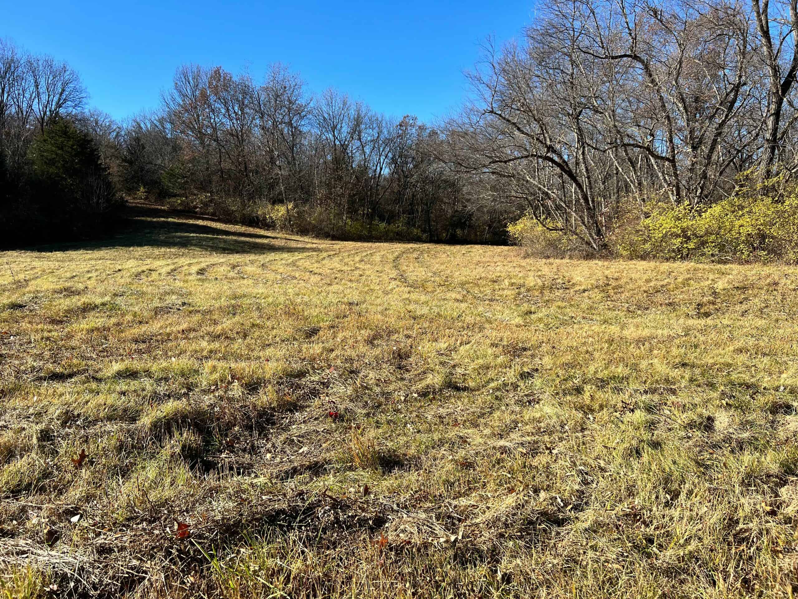 Wapello, IA House and 30 acres