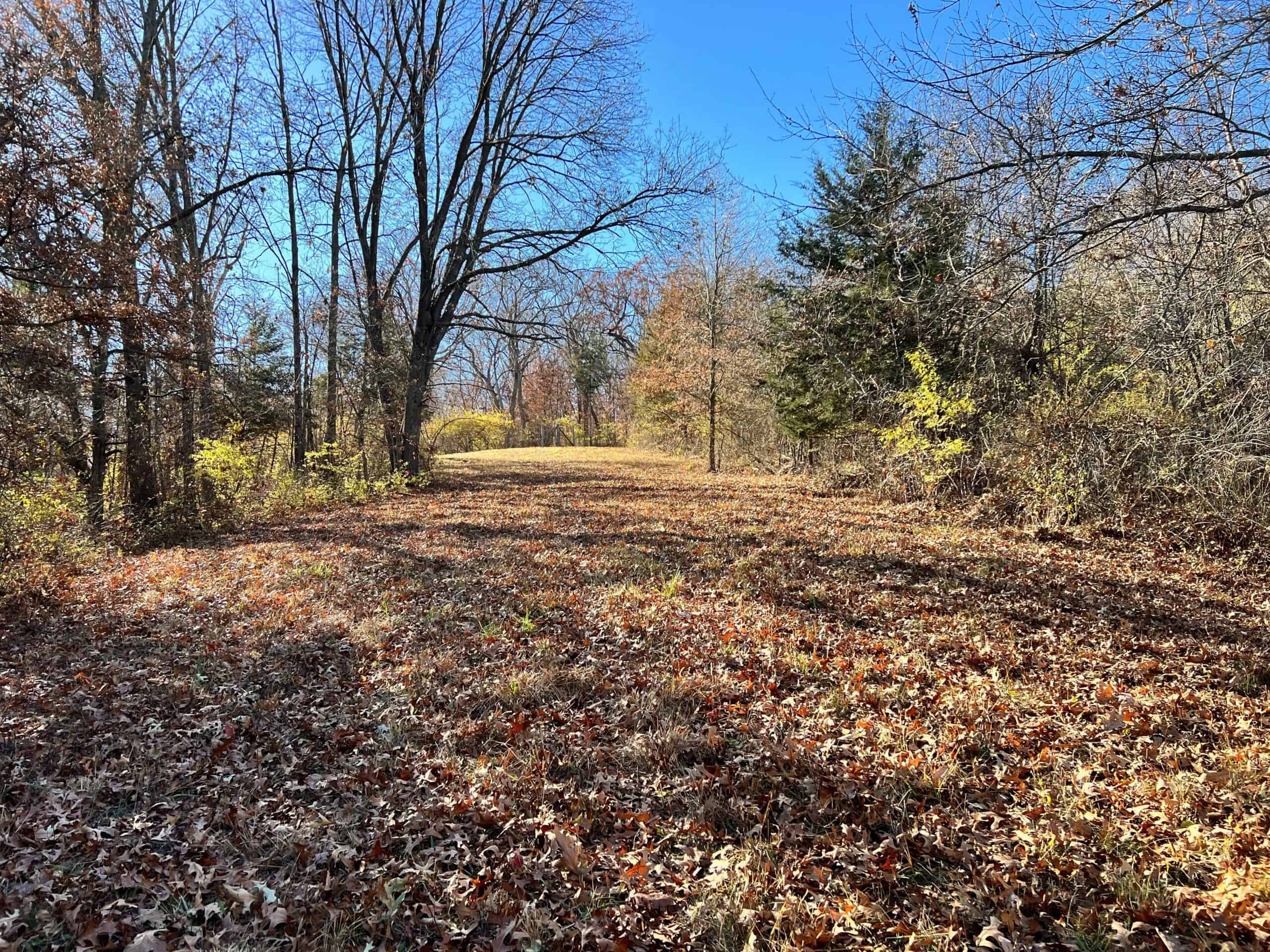 Wapello, IA House and 30 acres