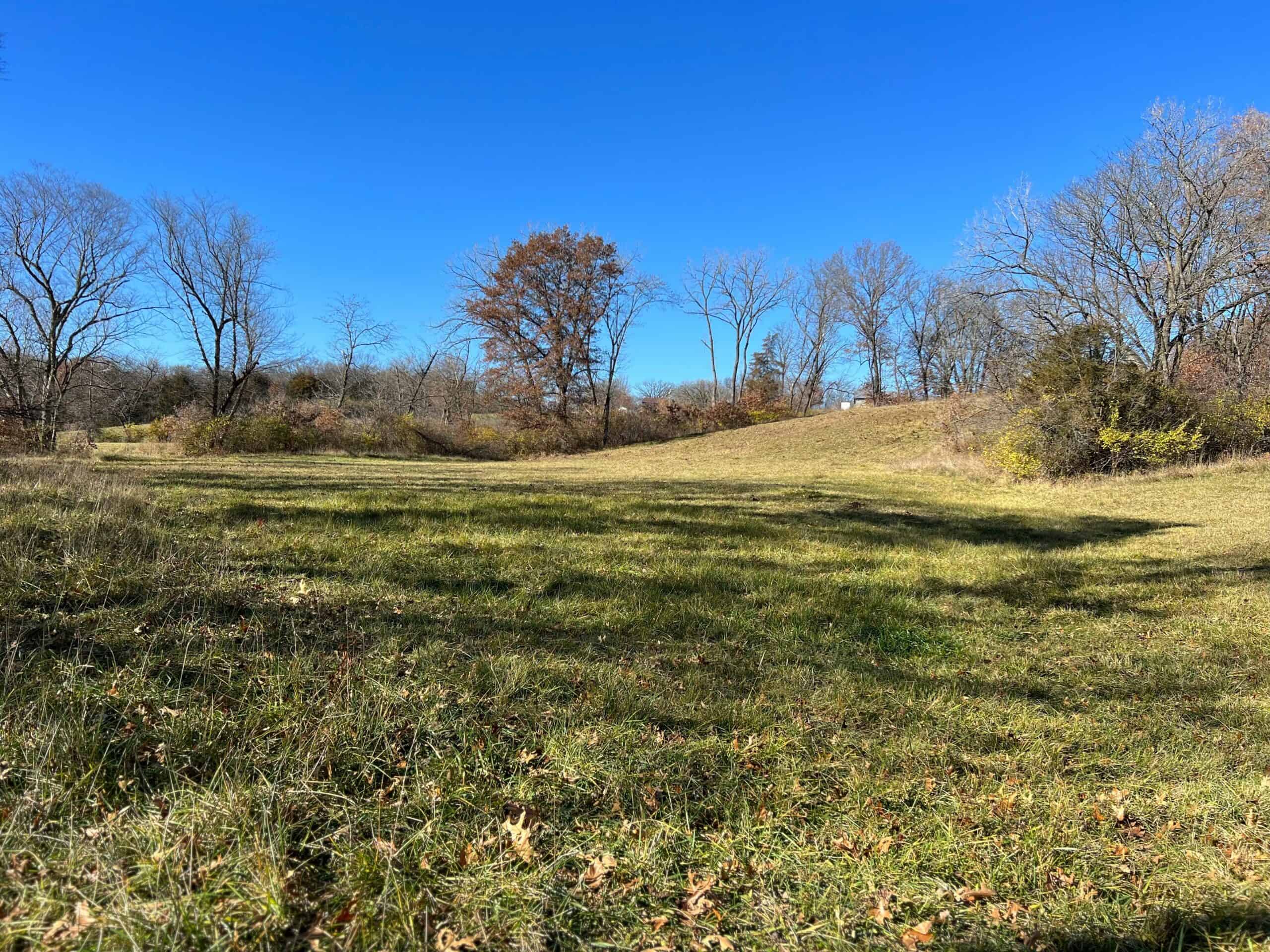 Wapello, IA House and 30 acres