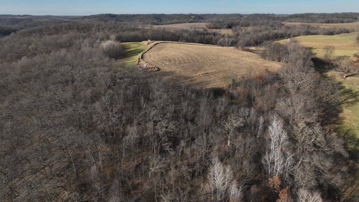 Recreational Land for sale in Iowa County, WI UC Hunting Properties