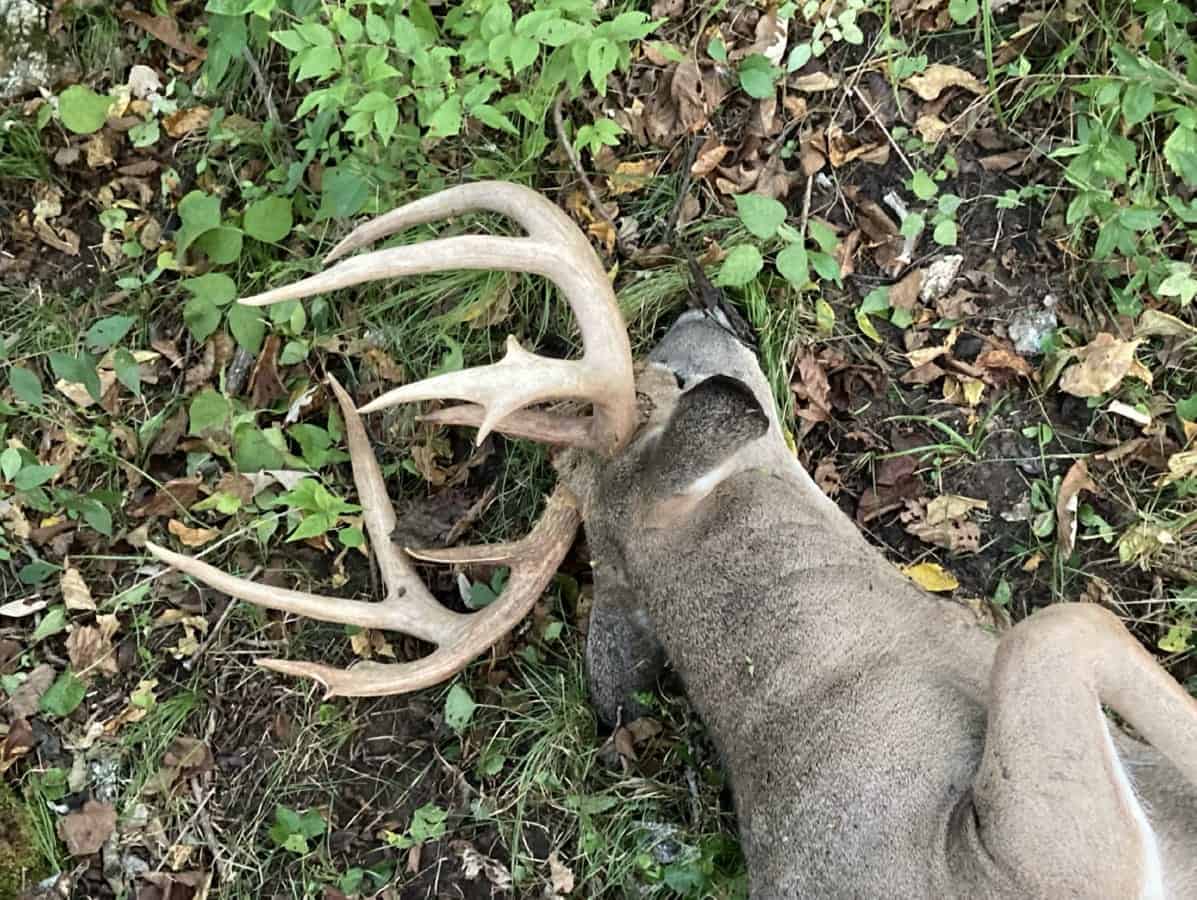 Recreational Land for sale in Iowa County, WI UC Hunting Properties