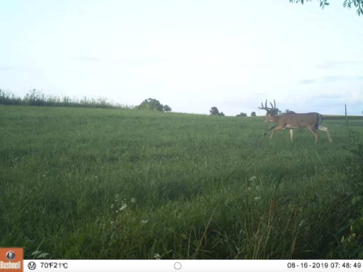 Recreational Land for sale in Iowa County, WI UC Hunting Properties