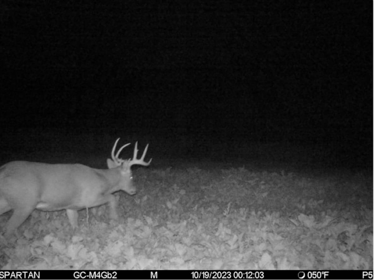 Recreational Land for sale in Iowa County, WI UC Hunting Properties