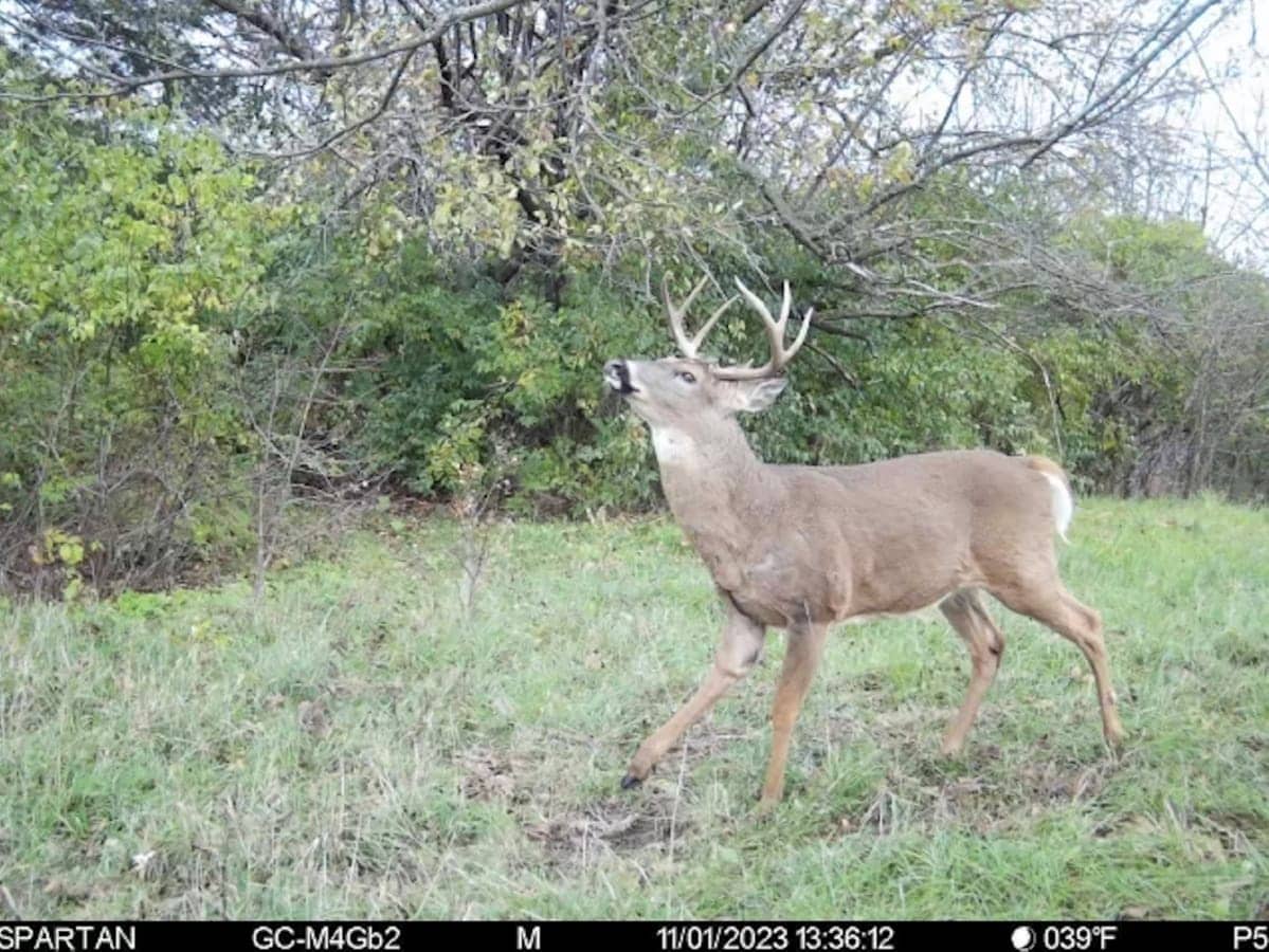 Recreational Land for sale in Iowa County, WI UC Hunting Properties