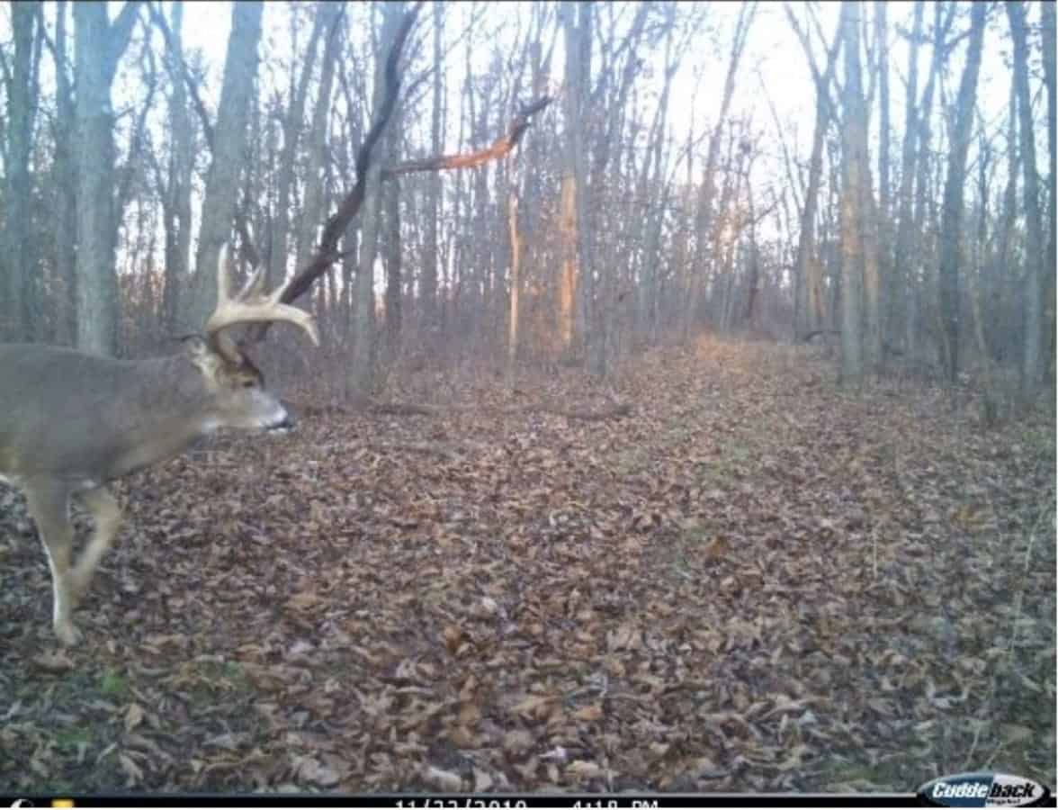 Recreational Land for sale in Iowa County, WI UC Hunting Properties