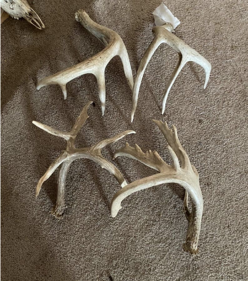 Recreational Land for sale in Iowa County, WI UC Hunting Properties