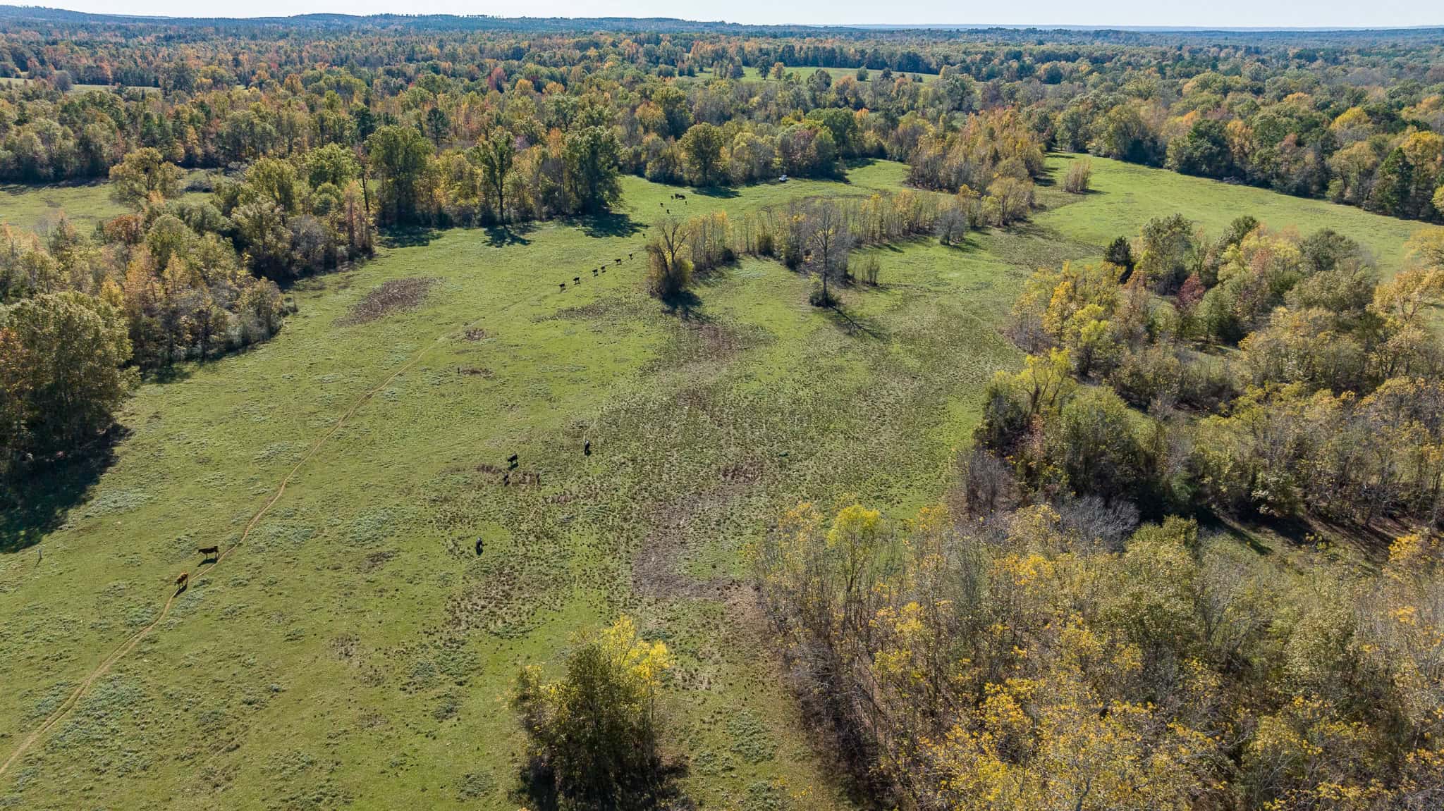 SOLD! East Texas Legacy Ranch for Sale Rusk County Near Henderson