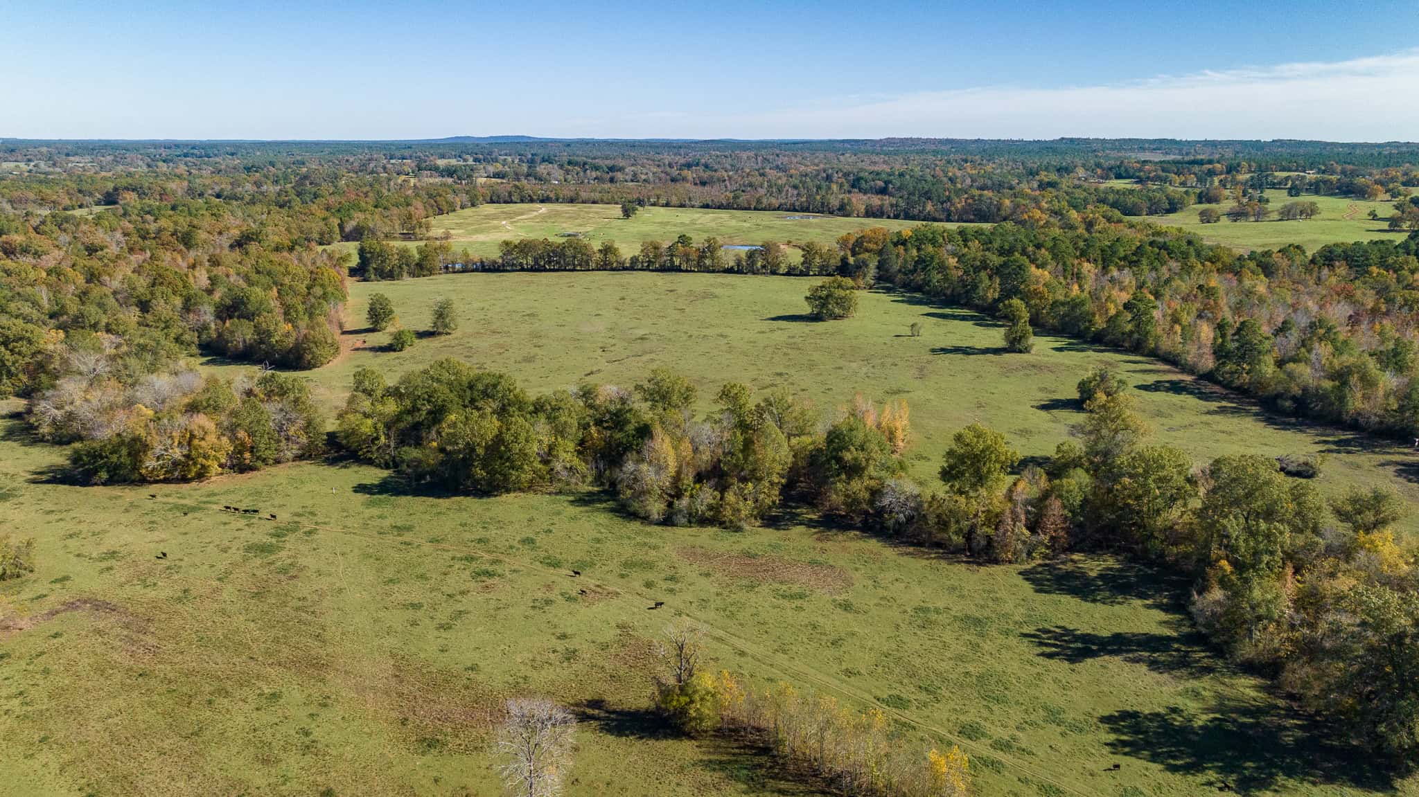SOLD! East Texas Legacy Ranch for Sale Rusk County Near Henderson