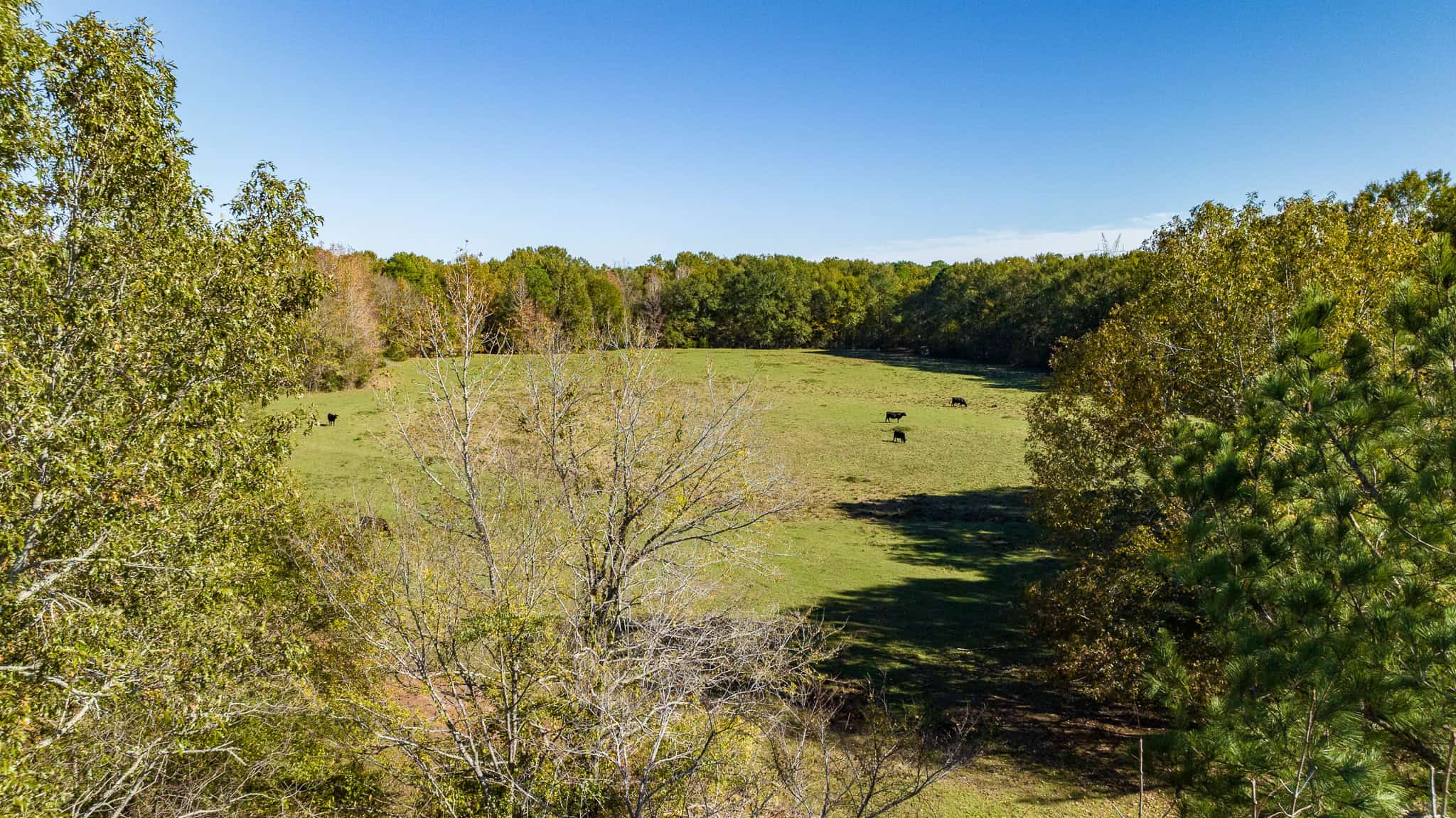 SOLD! East Texas Legacy Ranch for Sale Rusk County Near Henderson