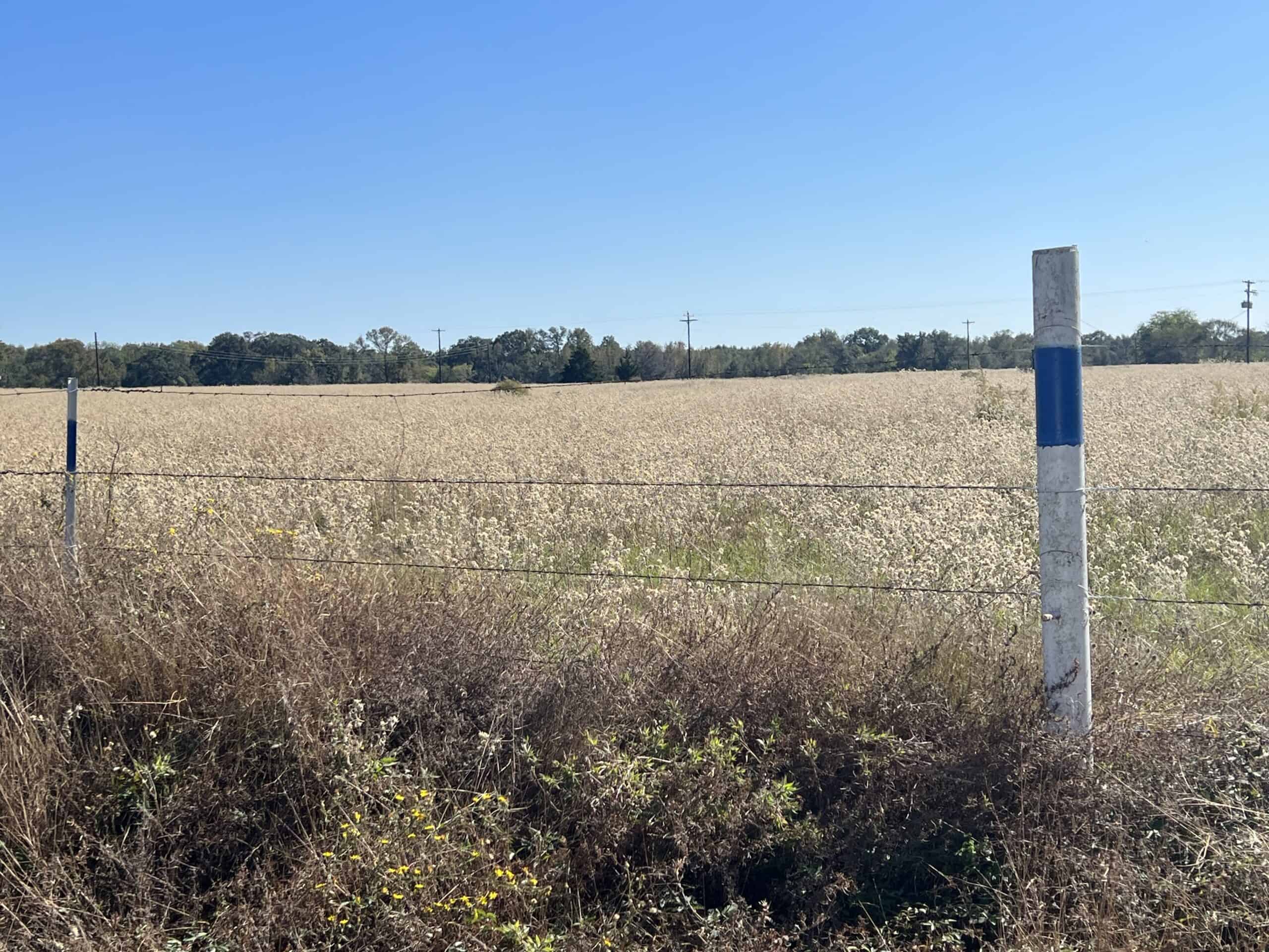 SALE PENDING! East TX Land for Sale Near Quitman Wood County