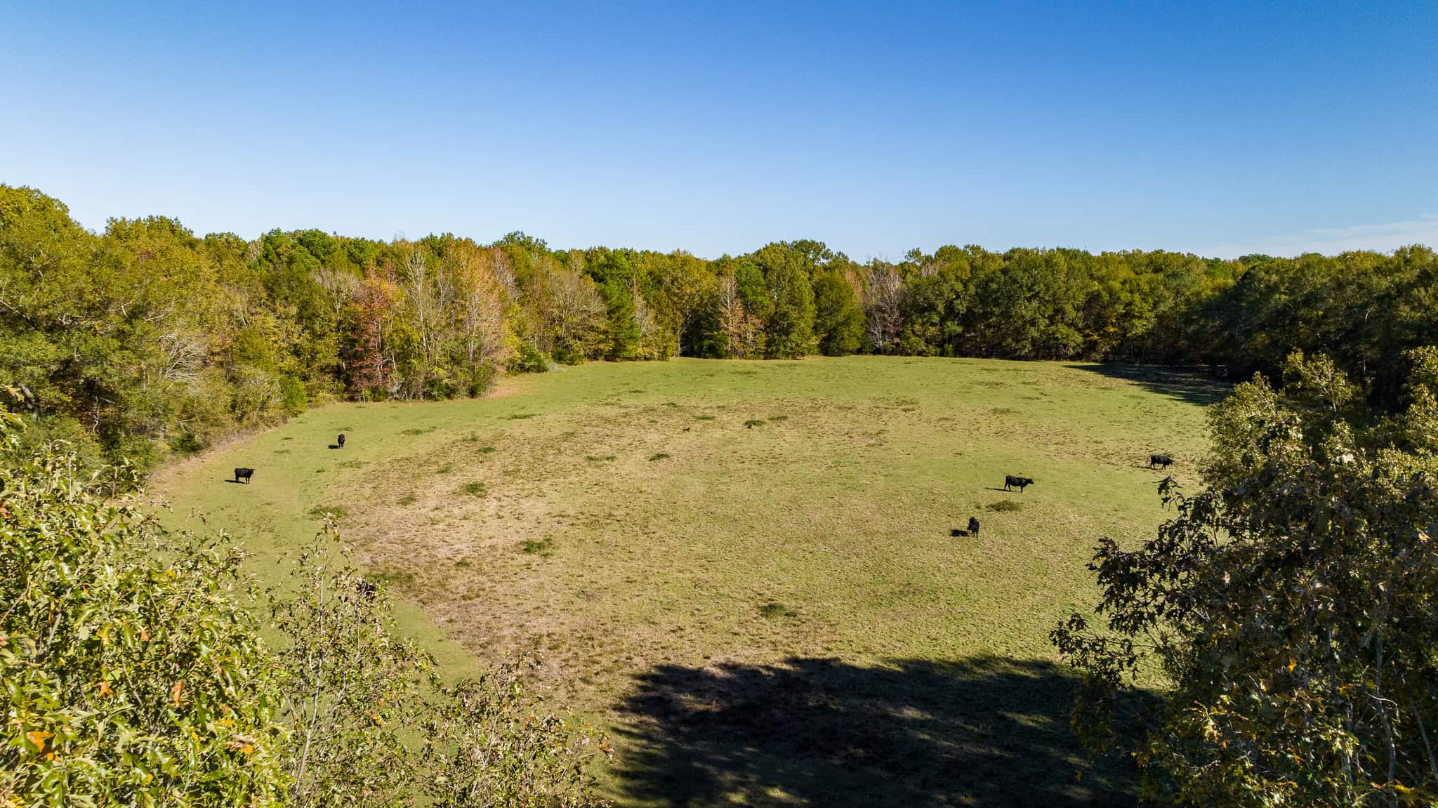 SOLD! East Texas Legacy Ranch for Sale Rusk County Near Henderson