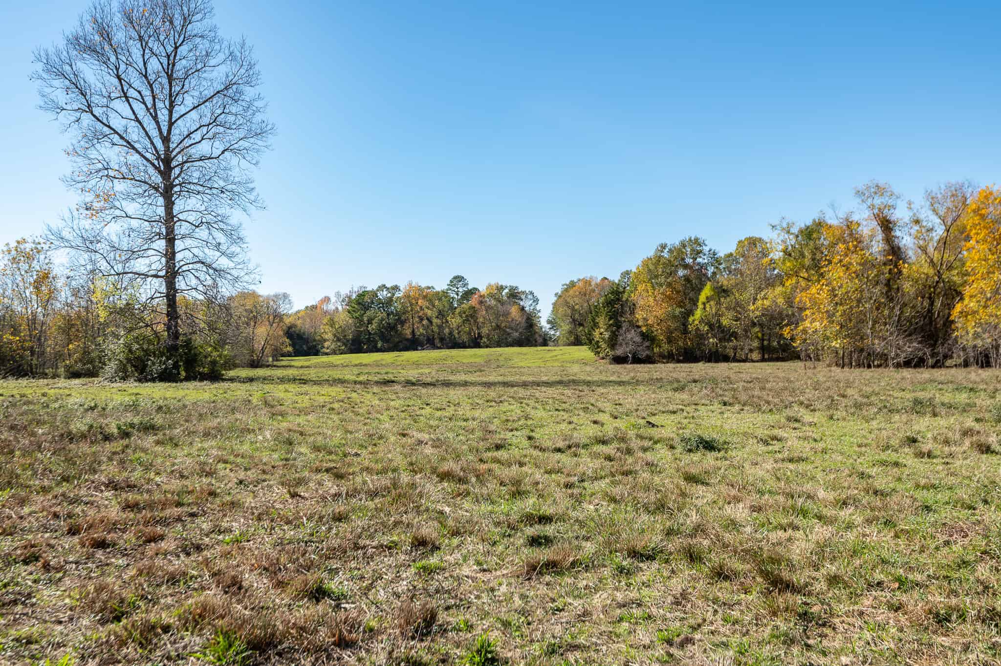 SOLD! East Texas Legacy Ranch for Sale Rusk County Near Henderson