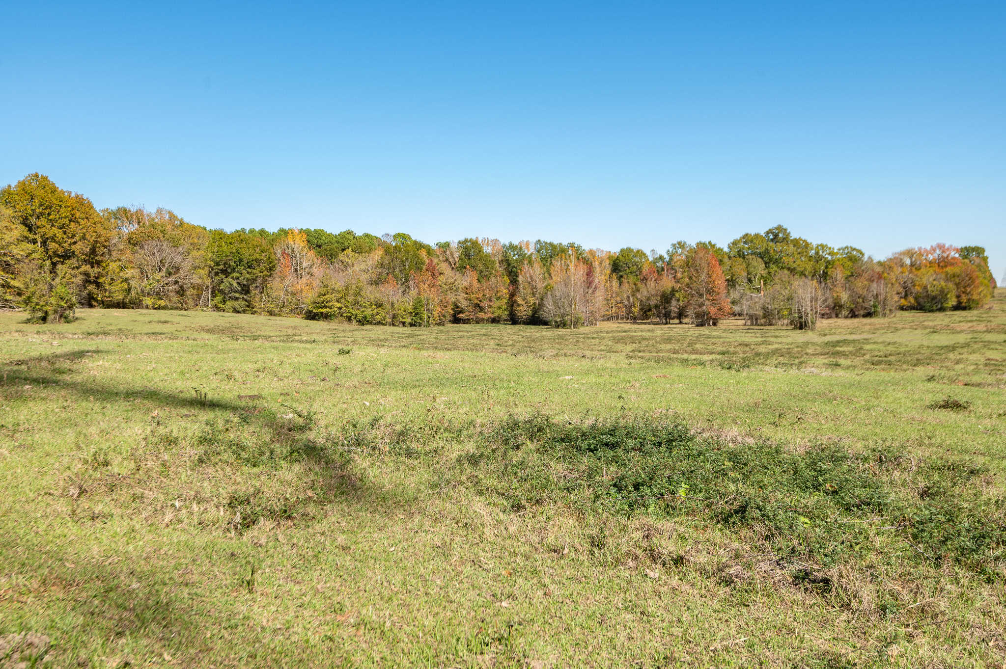 SOLD! East Texas Legacy Ranch for Sale Rusk County Near Henderson