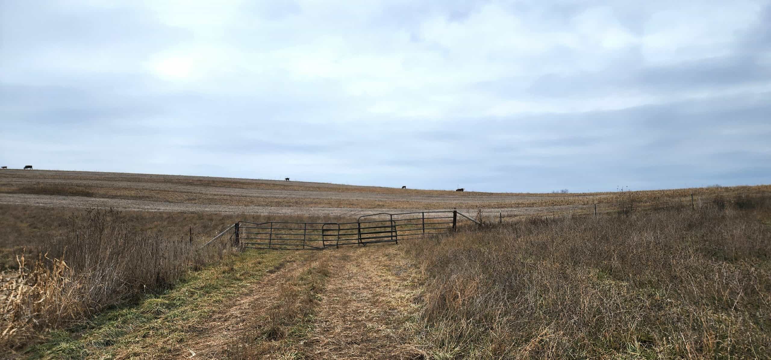 Approx. 69.52 Acres of Beautiful Land (Approx. 50 Acres Tillable) SW Wisconsin