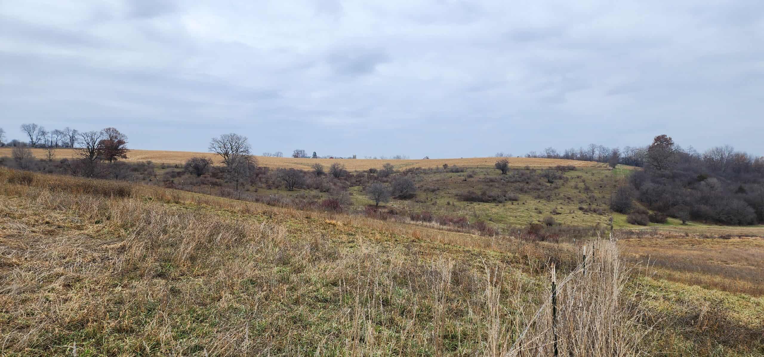 Approx. 69.52 Acres of Beautiful Land (Approx. 50 Acres Tillable) SW Wisconsin
