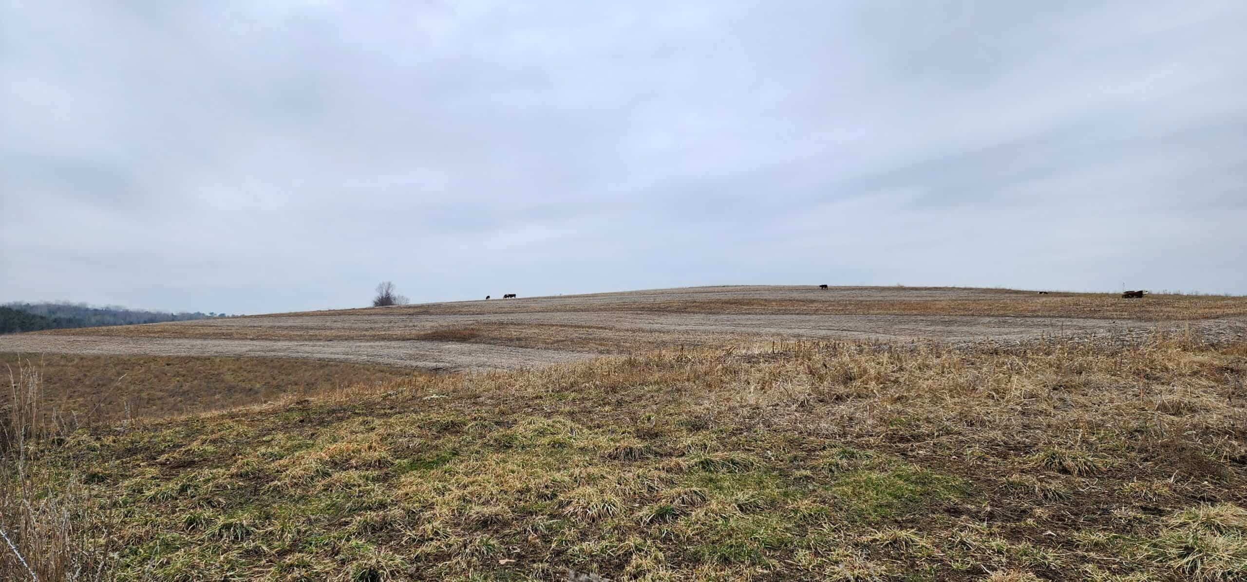 Approx. 69.52 Acres of Beautiful Land (Approx. 50 Acres Tillable) SW Wisconsin