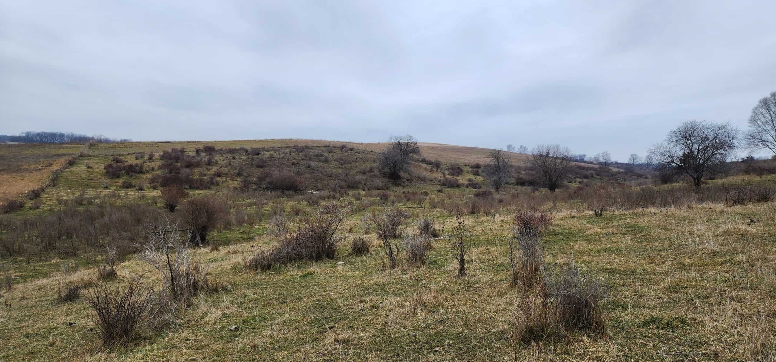 Approx. 69.52 Acres of Beautiful Land (Approx. 50 Acres Tillable) SW Wisconsin