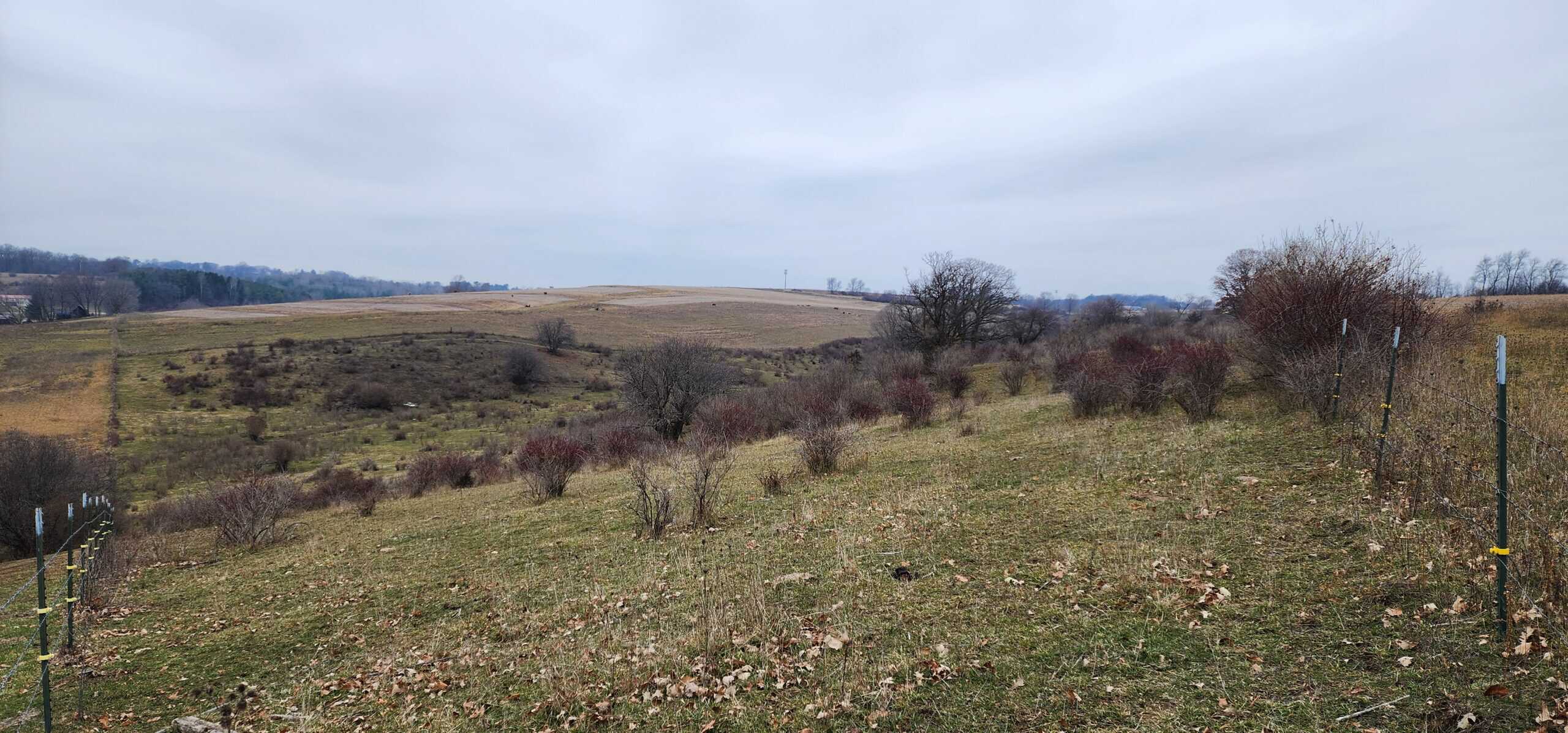 Approx. 69.52 Acres of Beautiful Land (Approx. 50 Acres Tillable) SW Wisconsin