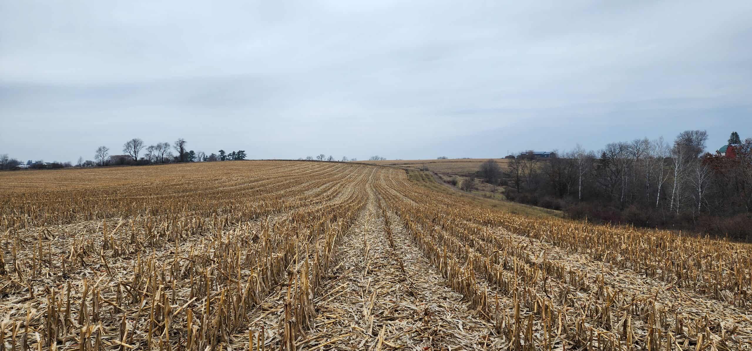 Approx. 69.52 Acres of Beautiful Land (Approx. 50 Acres Tillable) SW Wisconsin