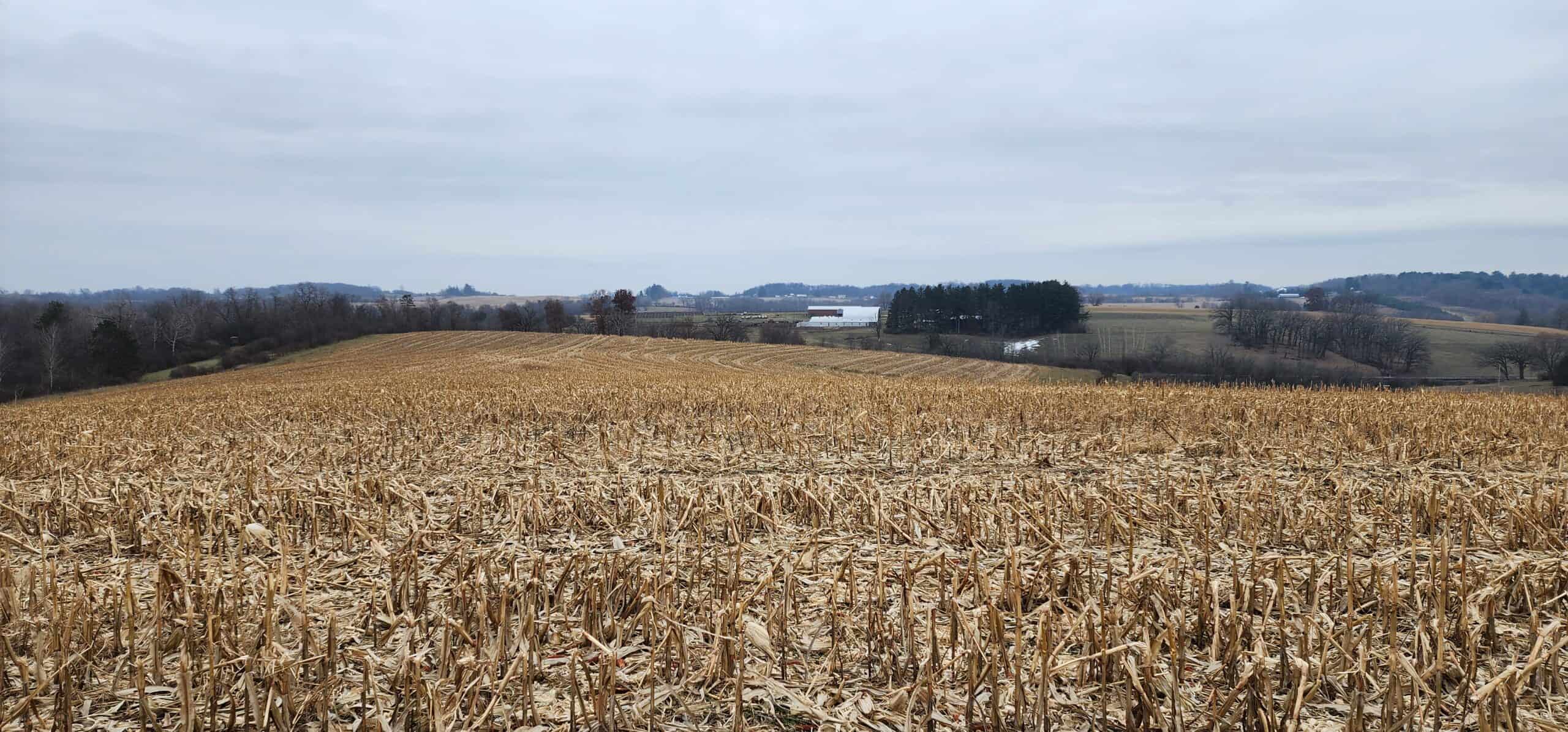 Approx. 69.52 Acres of Beautiful Land (Approx. 50 Acres Tillable) SW Wisconsin